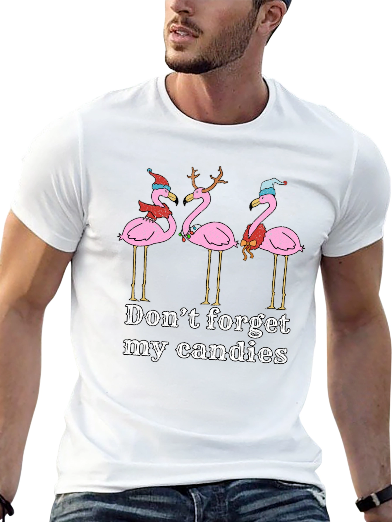 Festive Flamingo Christmas T-Shirt