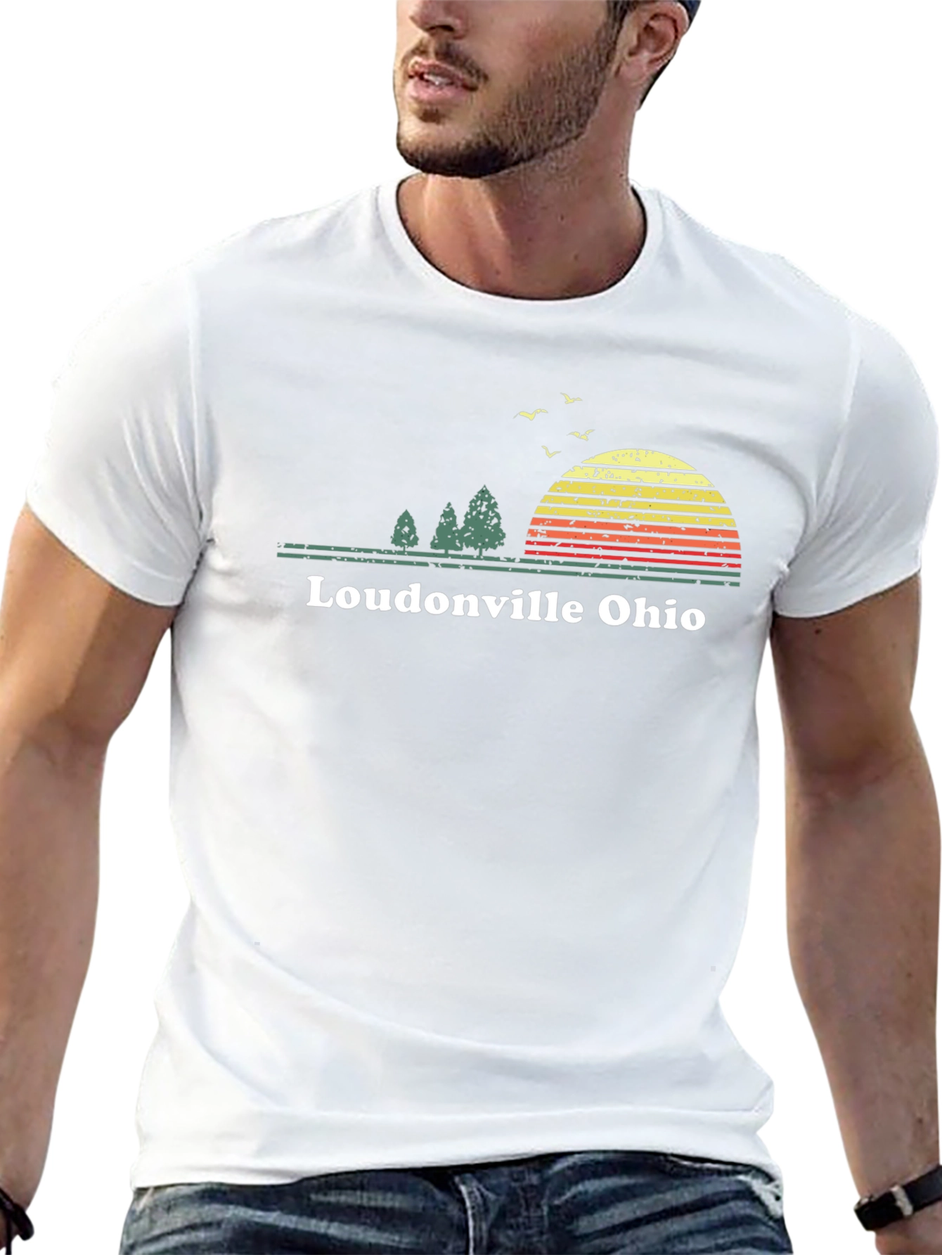Loudonville Ohio Sunset Graphic Tee