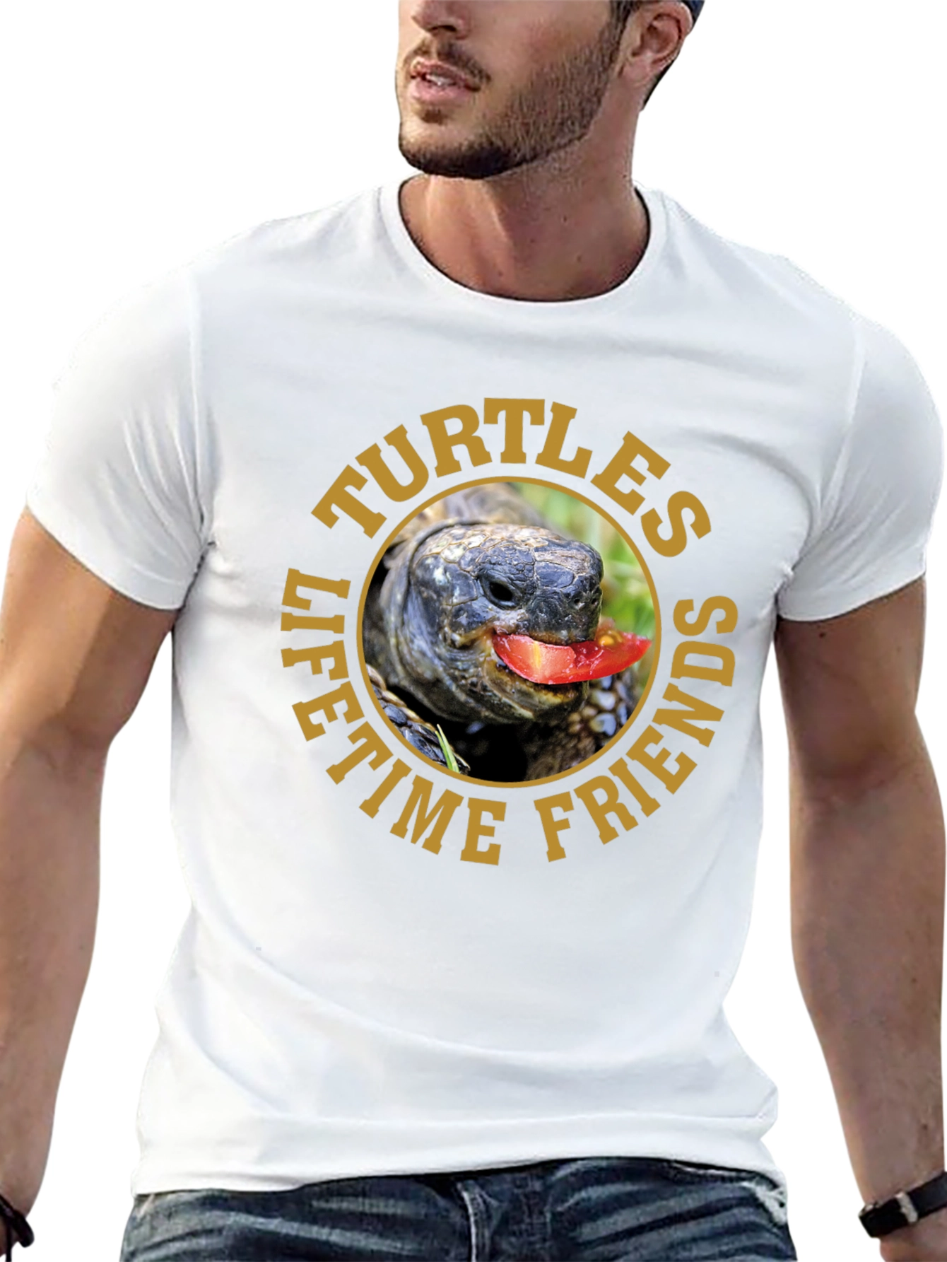 Turtles Lifetime Friends Graphic T-Shirt