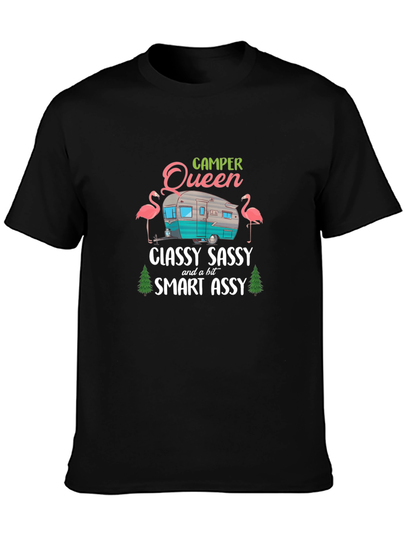 Camper Queen Funny Graphic T-Shirt