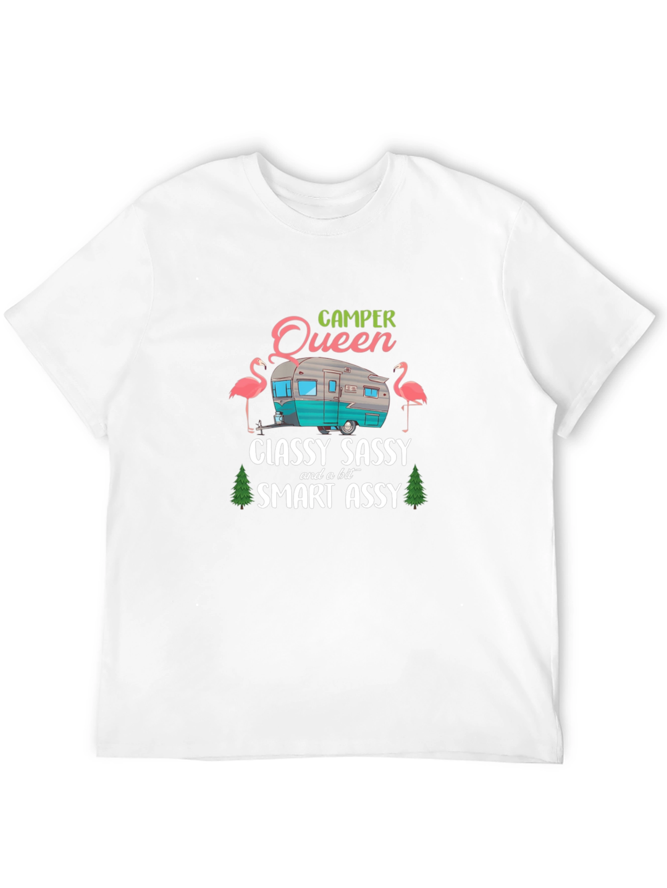 Camper Queen Funny Graphic T-Shirt
