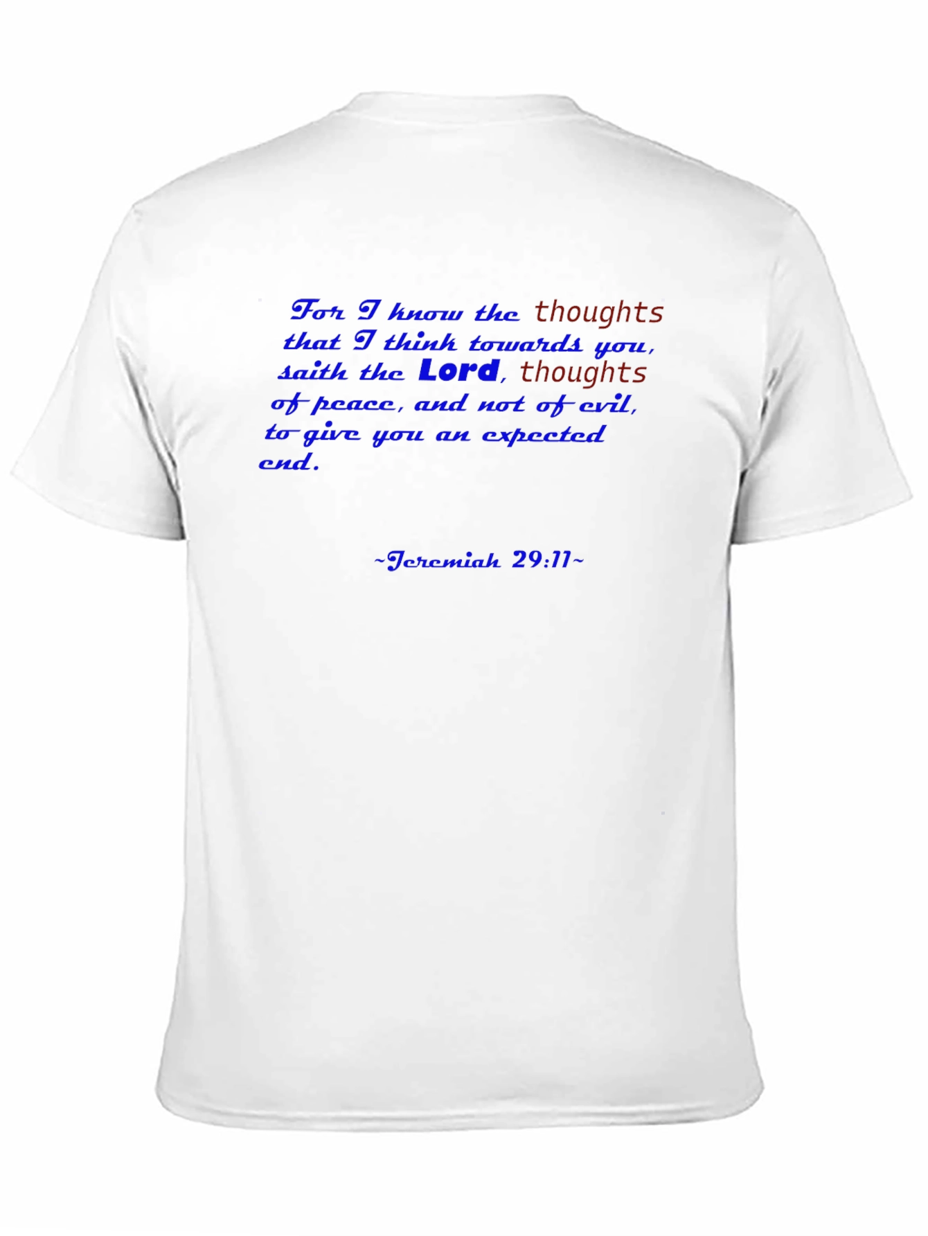Faith-Based T-Shirt: Jeremiah 29:11 Verse