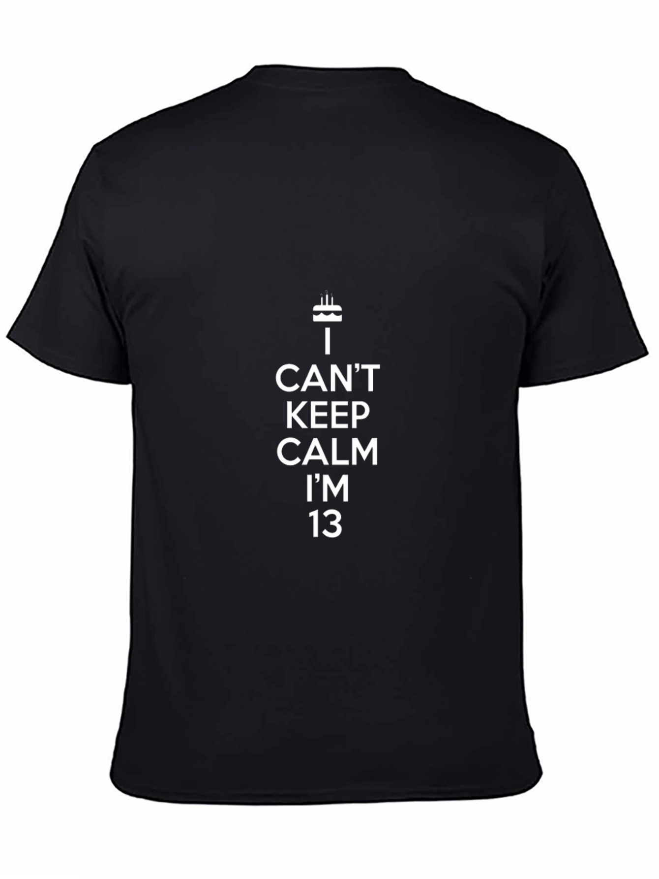 I Cant Keep Calm Im 13 T-Shirt