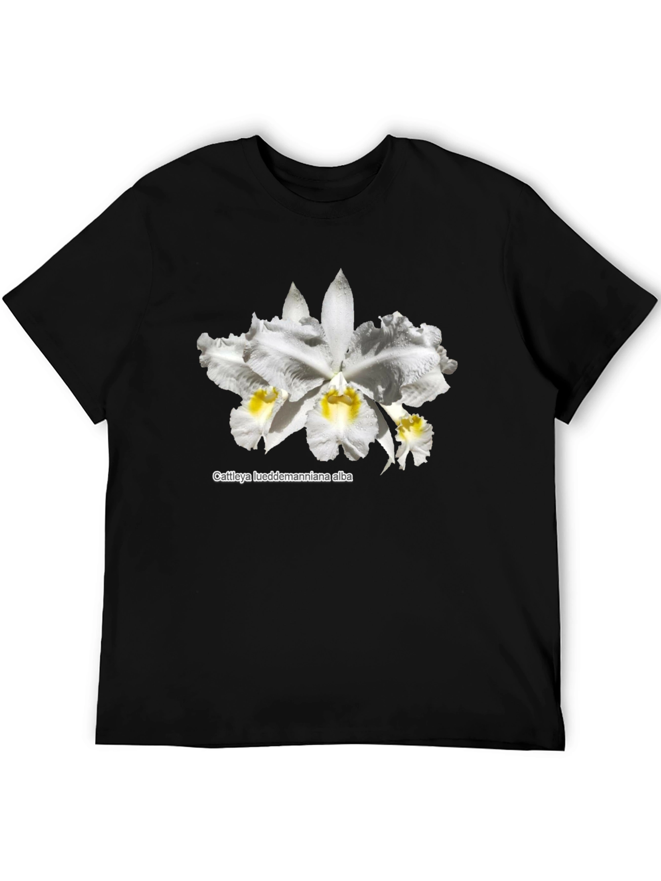 Orchid Flower Graphic T-Shirt - Black Casual Tee