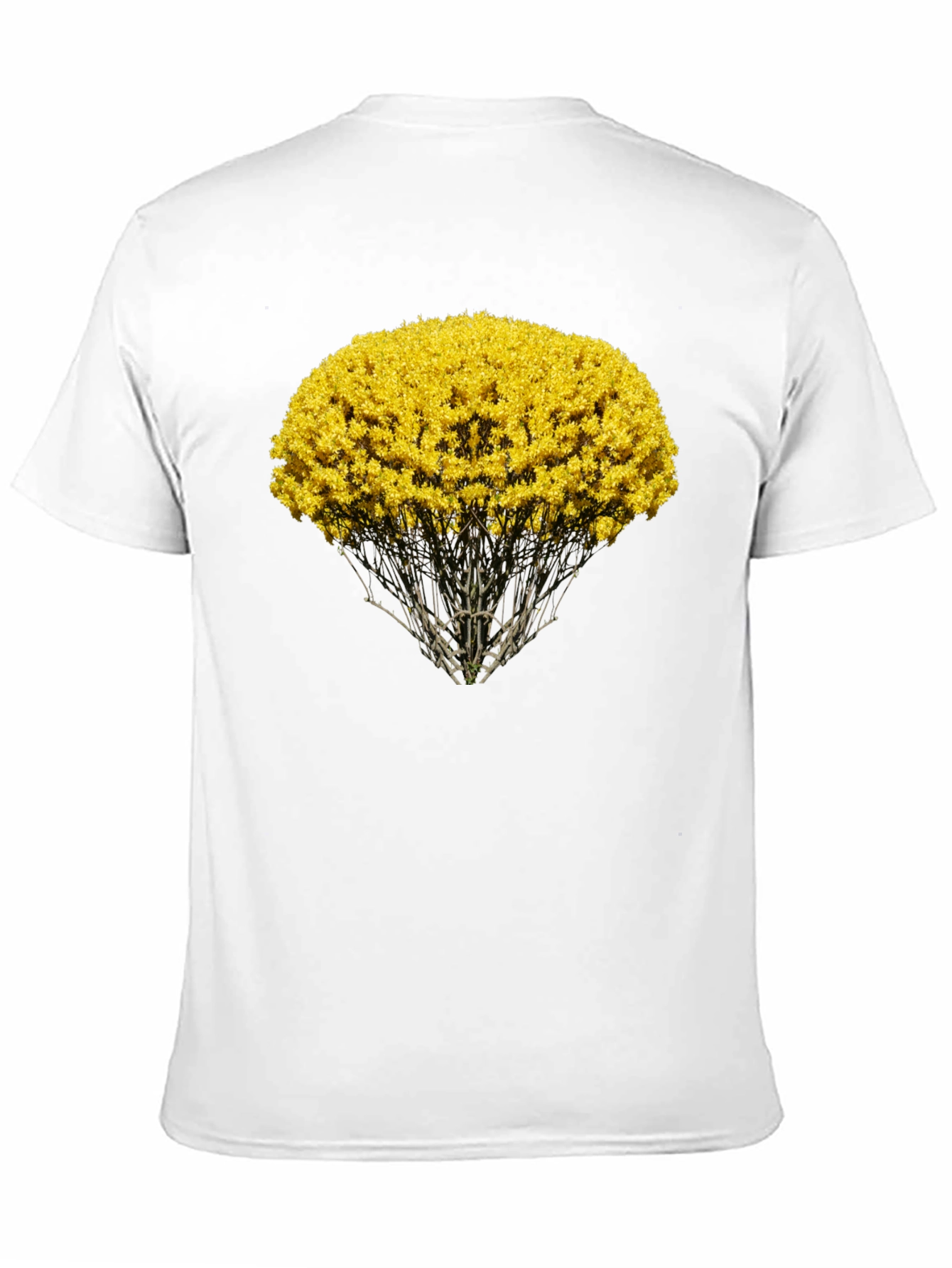 Nature Inspired Graphic Tee