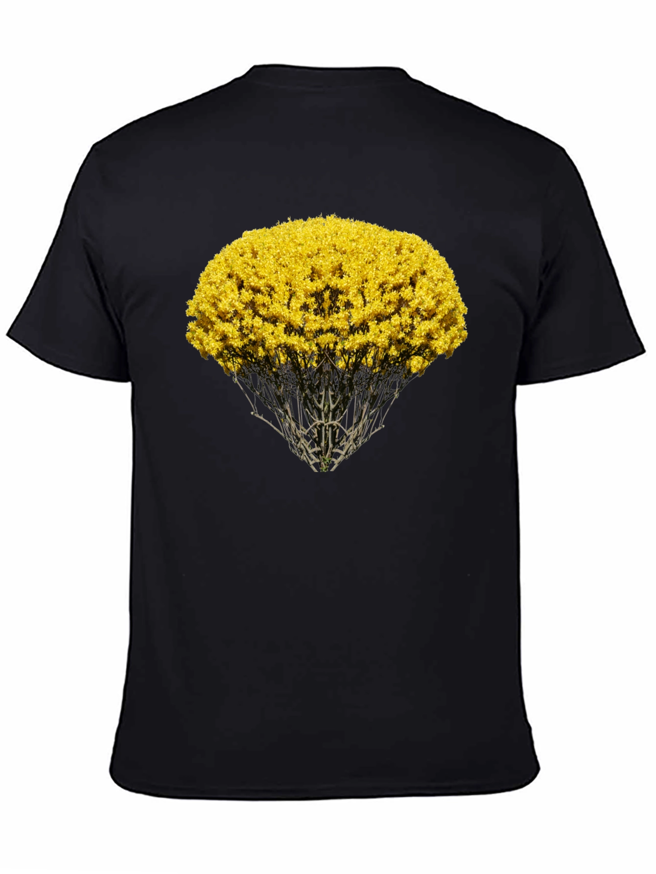 Nature Inspired Graphic Tee