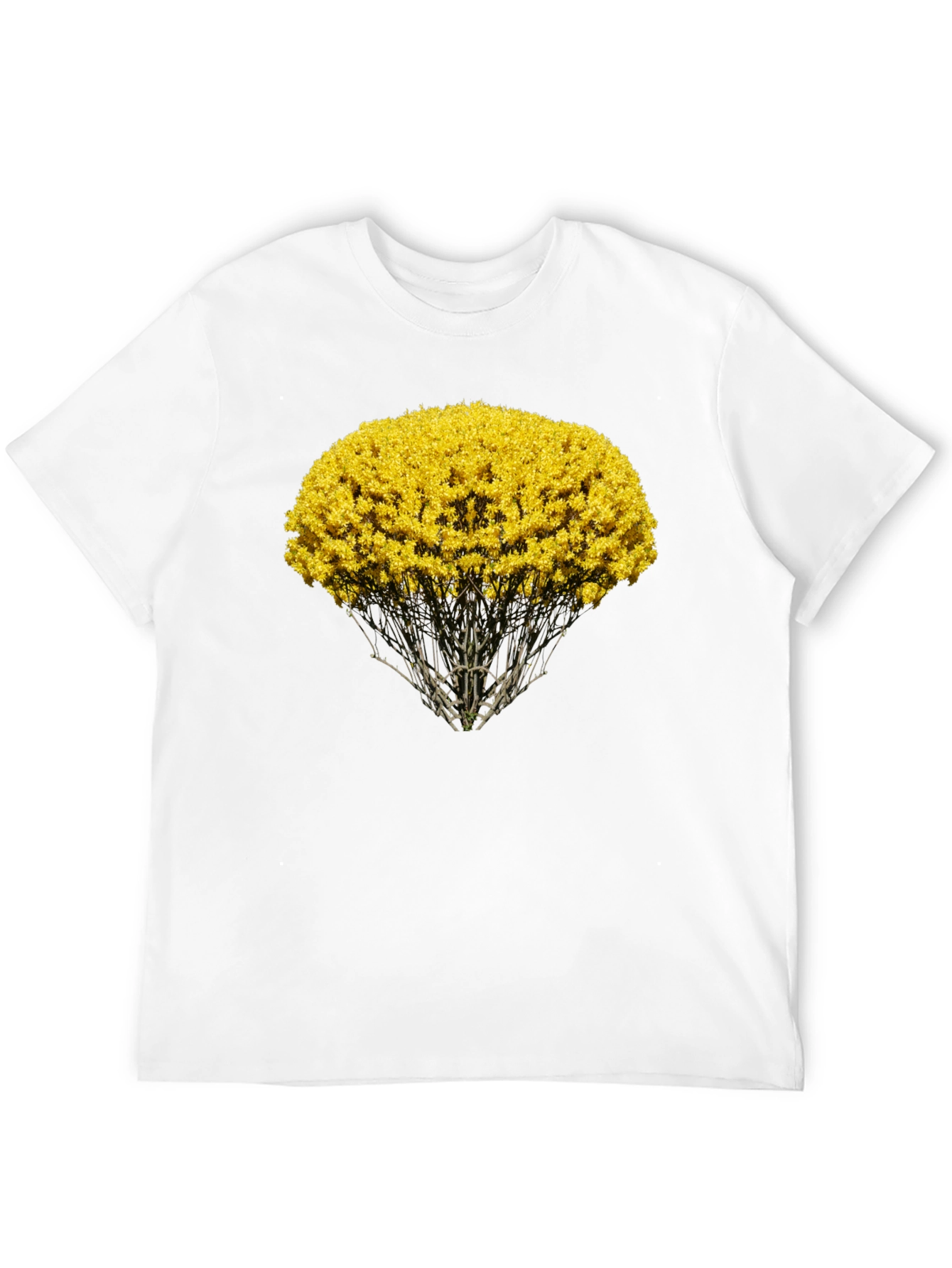 Nature Inspired Graphic Tee