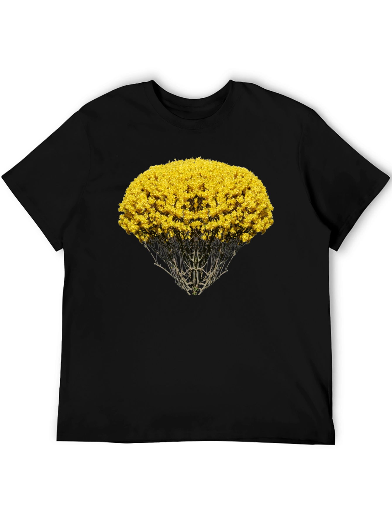 Nature Inspired Graphic Tee