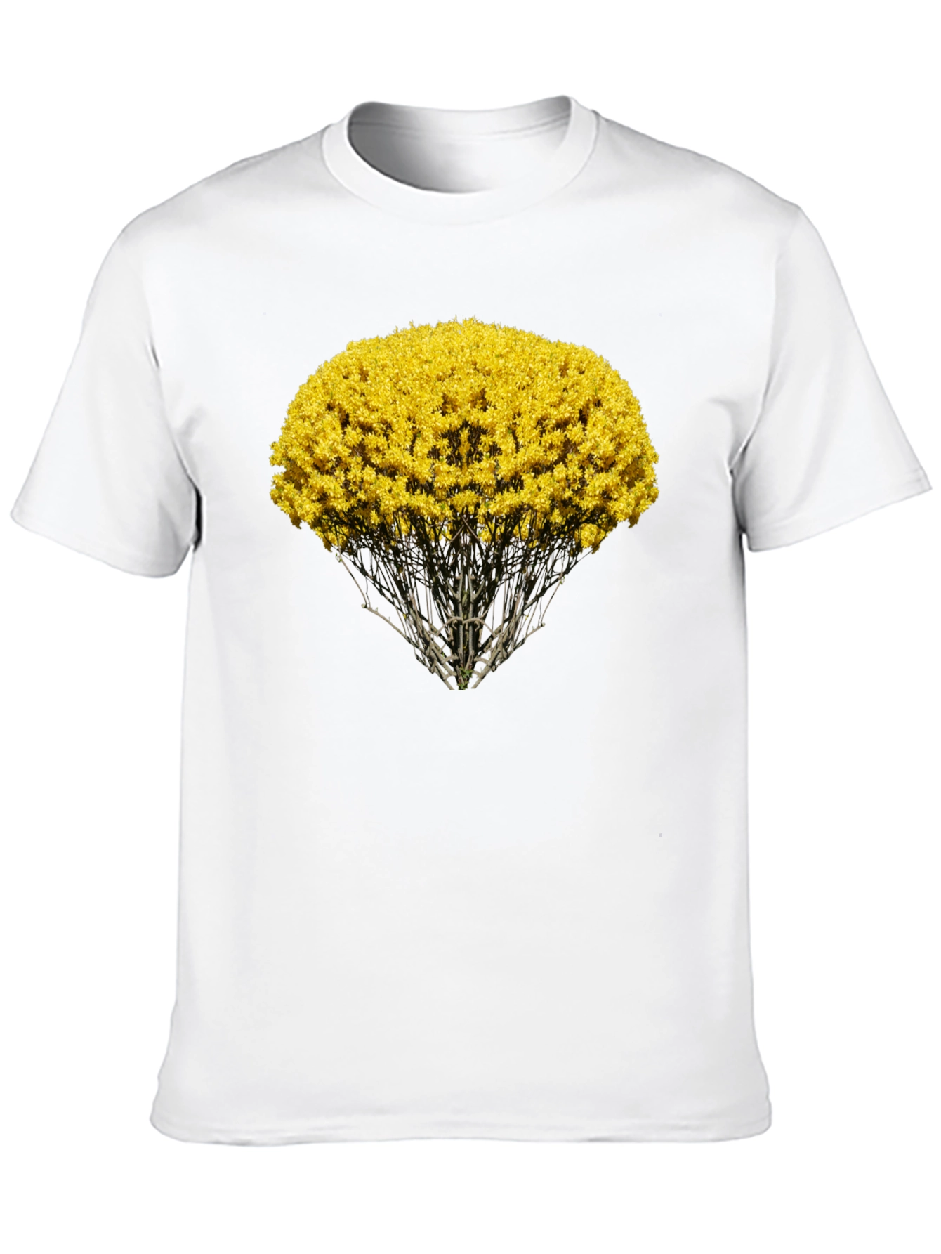 Nature Inspired Graphic Tee