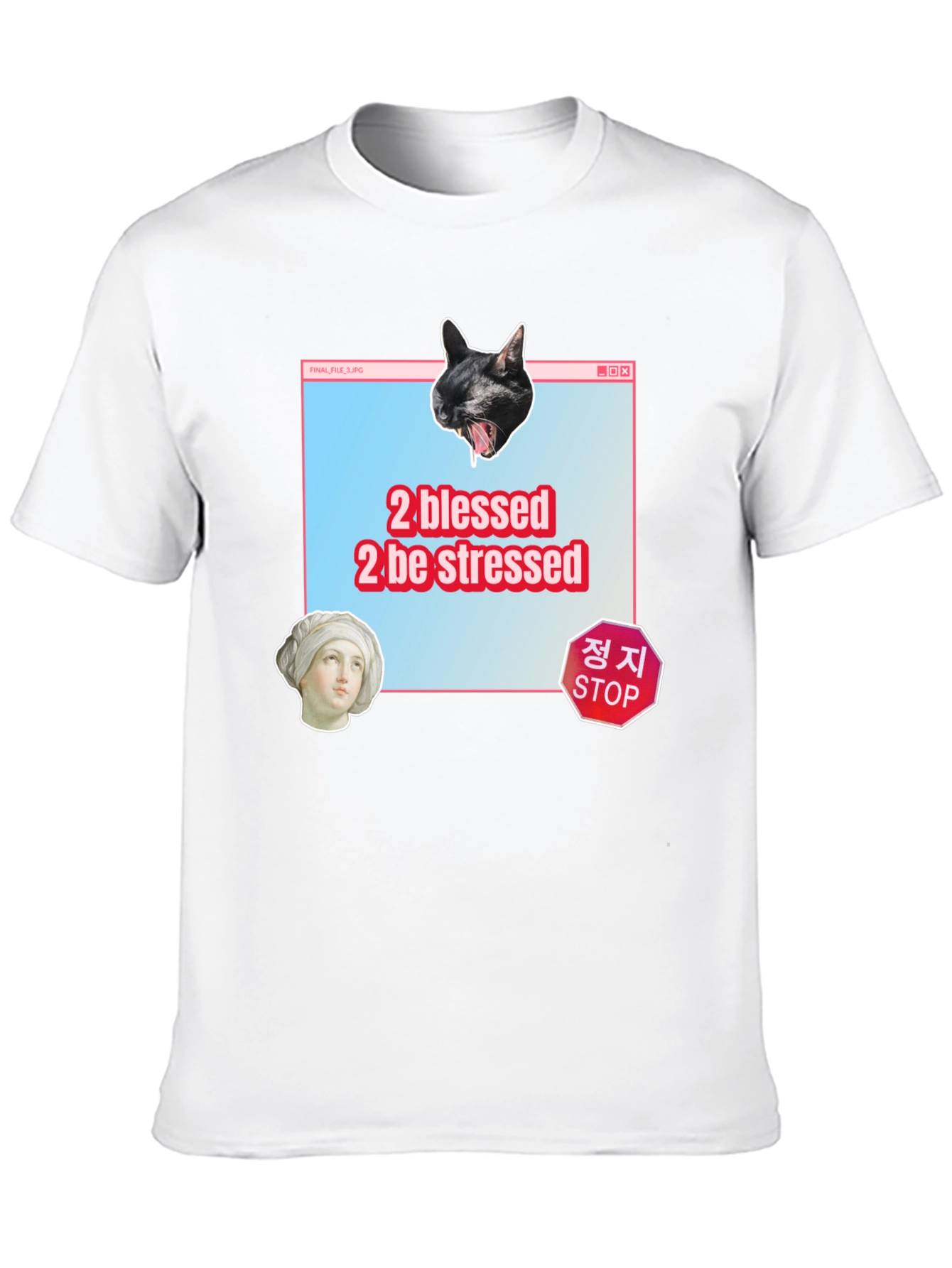 2 Blessed 2 Stressed Graphic Tee