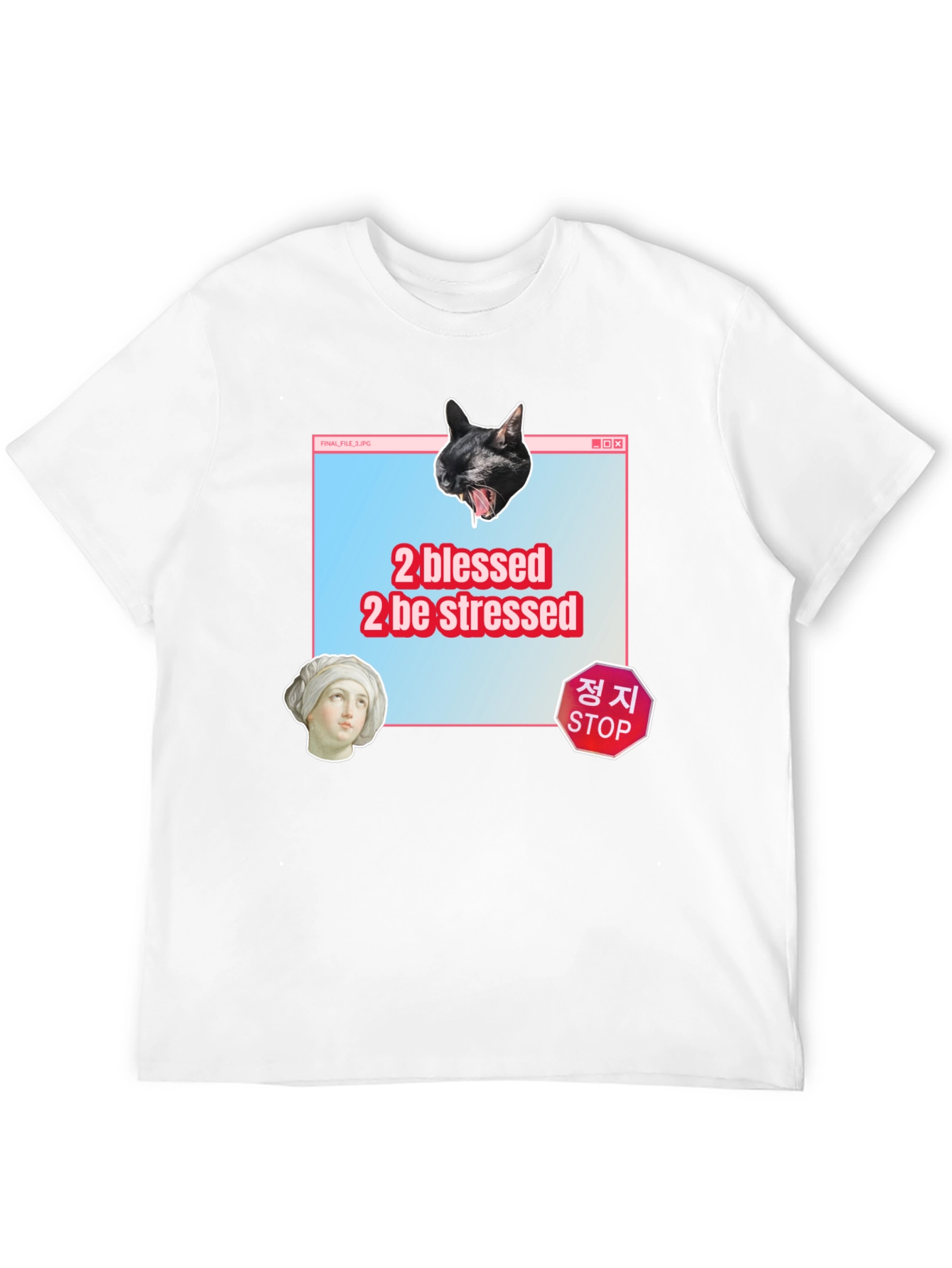 2 Blessed 2 Stressed Graphic Tee