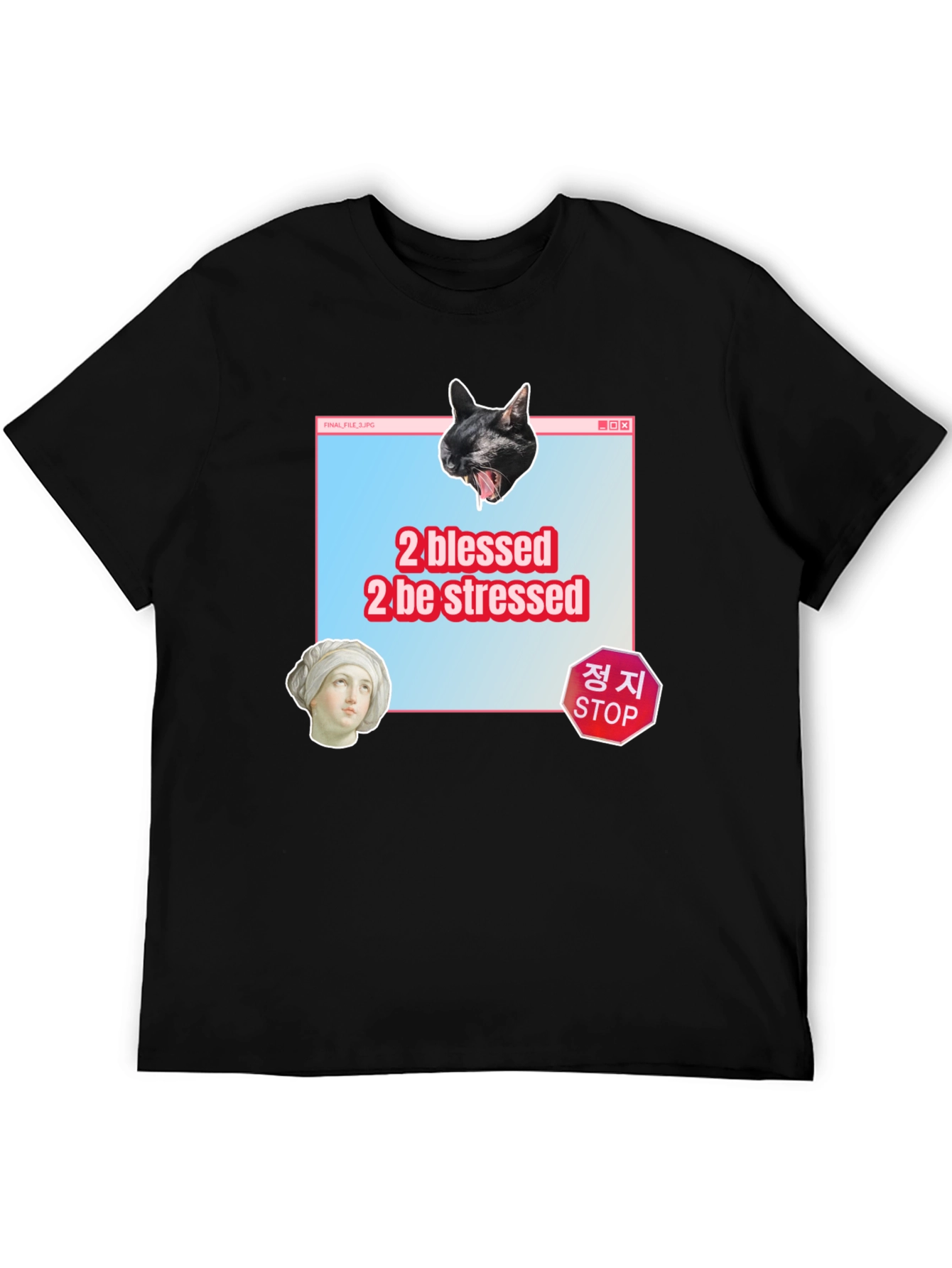 2 Blessed 2 Stressed Graphic Tee