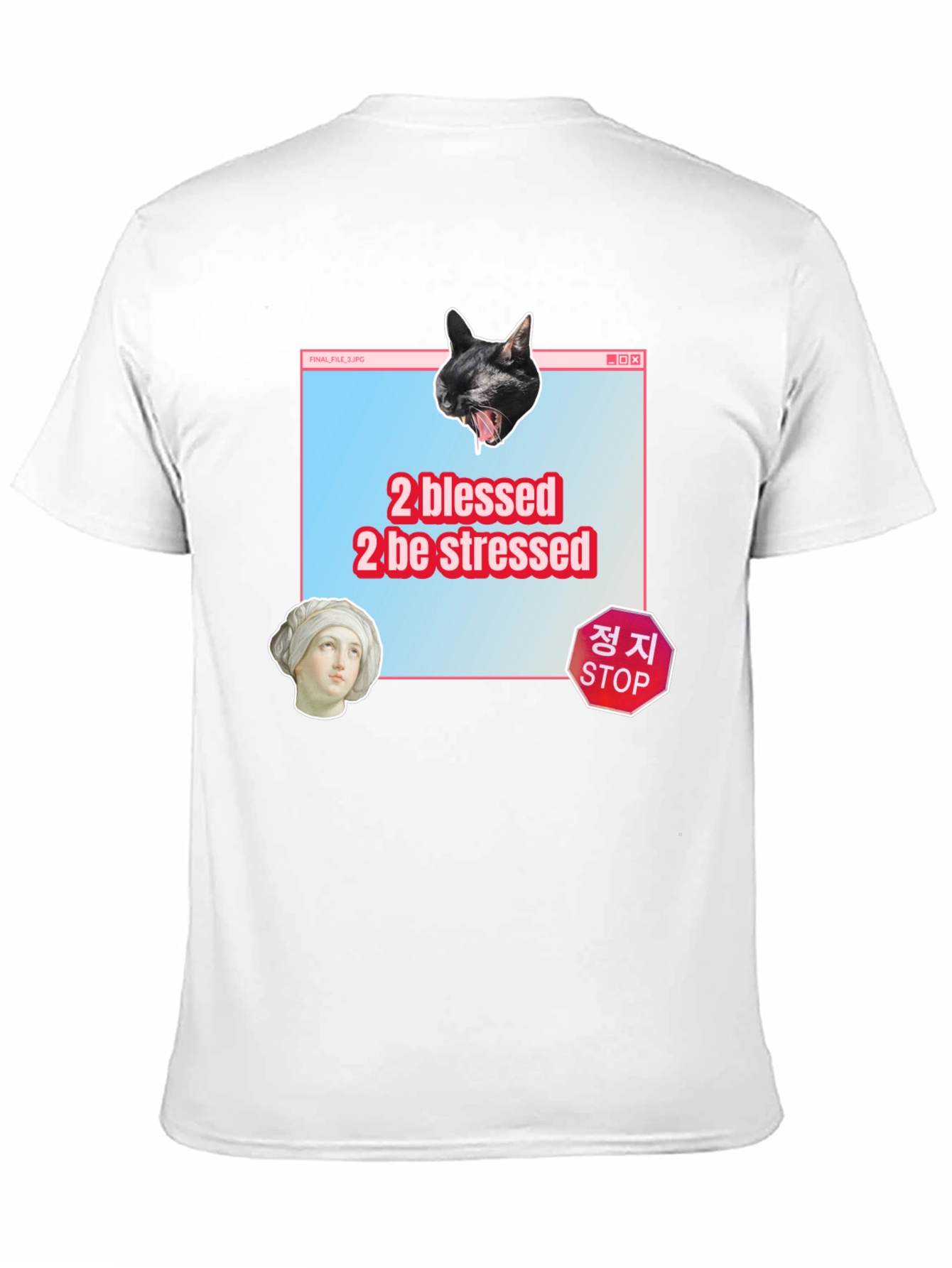 2 Blessed 2 Stressed Graphic Tee