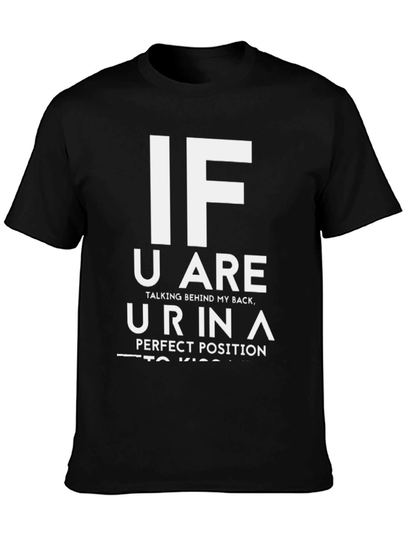 Funny Sarcastic Graphic Tee - Perfect Kiss Position