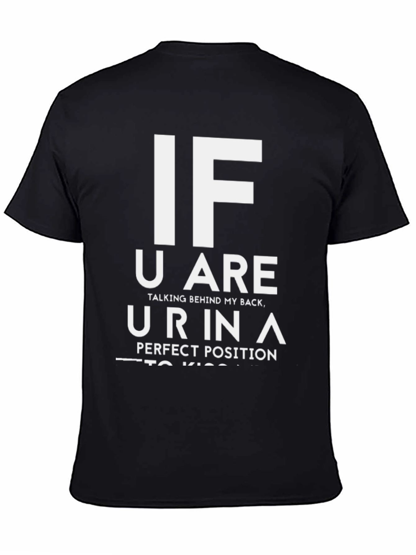 Funny Sarcastic Graphic Tee - Perfect Kiss Position