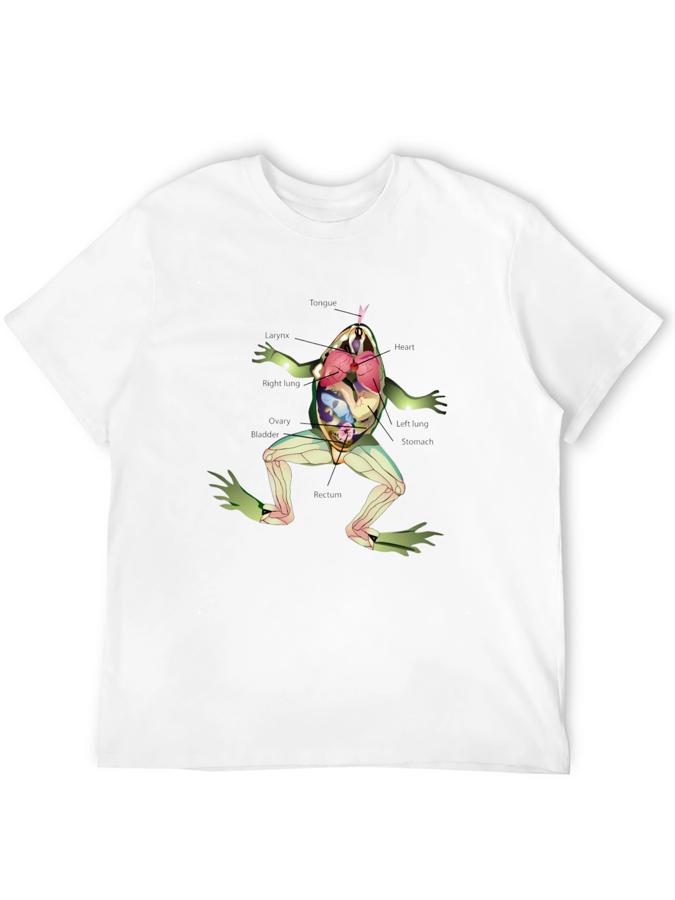 Anatomical Frog T-Shirt - Science & Biology