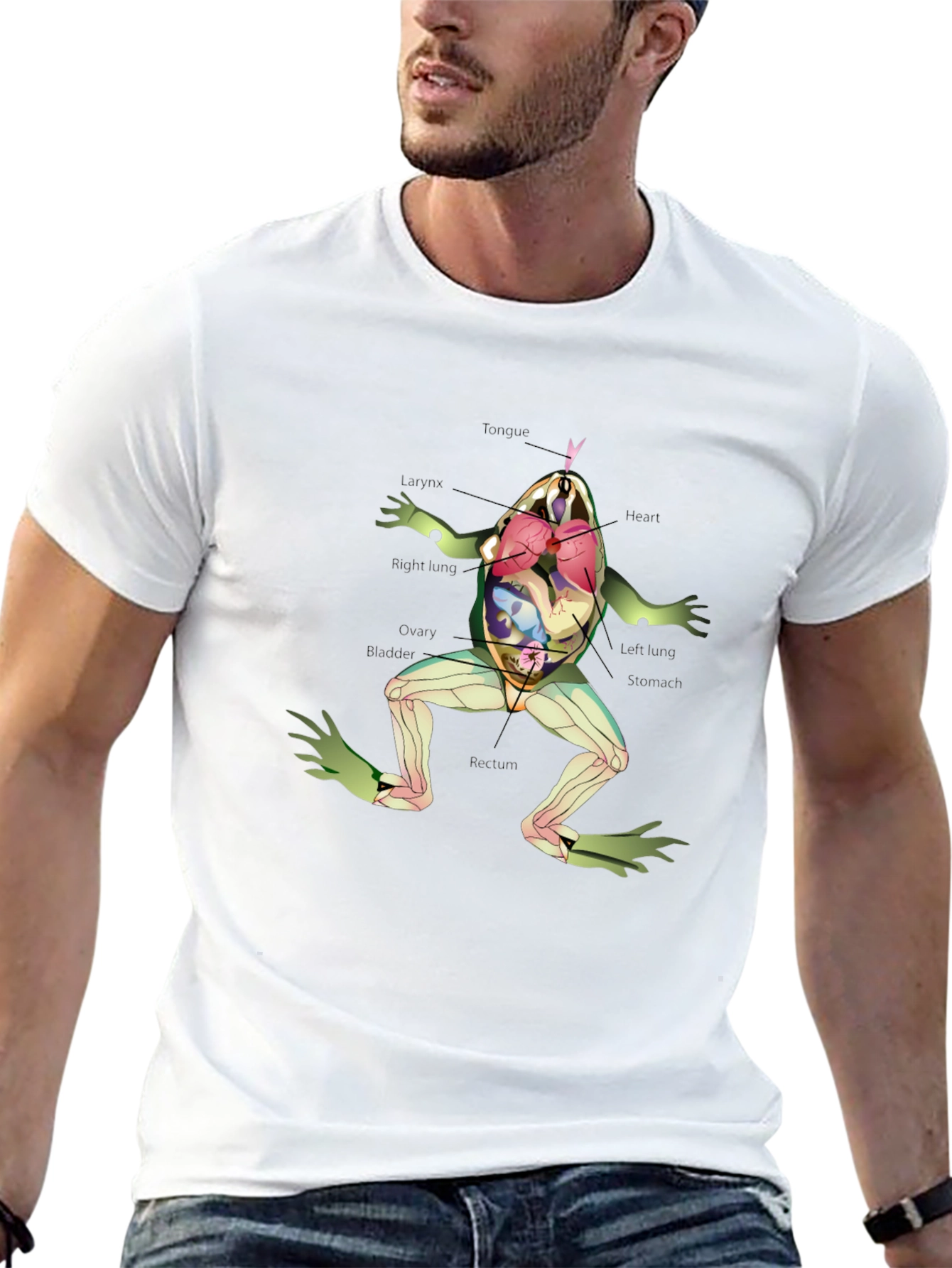 Anatomical Frog T-Shirt - Science & Biology