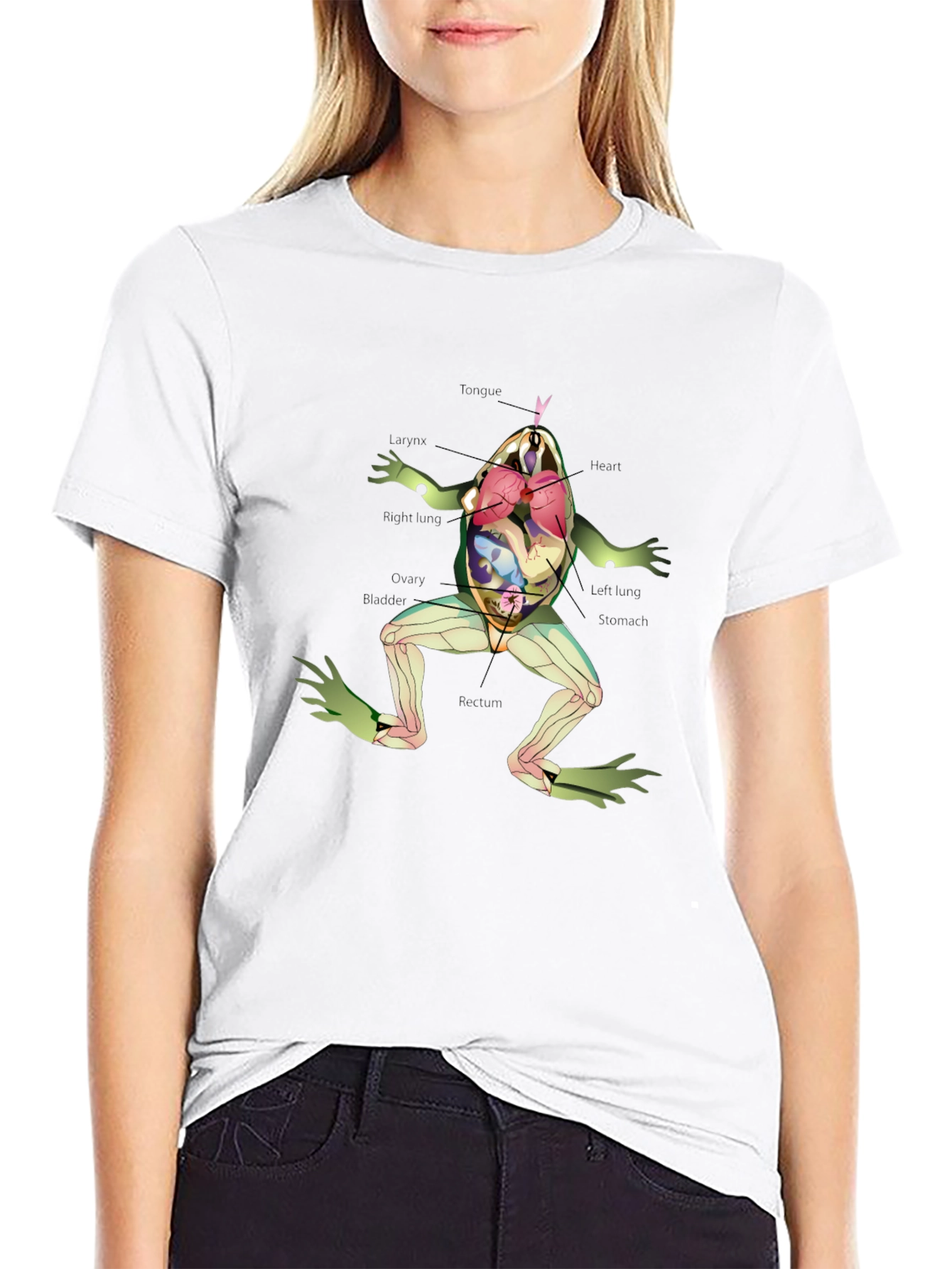 Anatomical Frog T-Shirt - Science & Biology