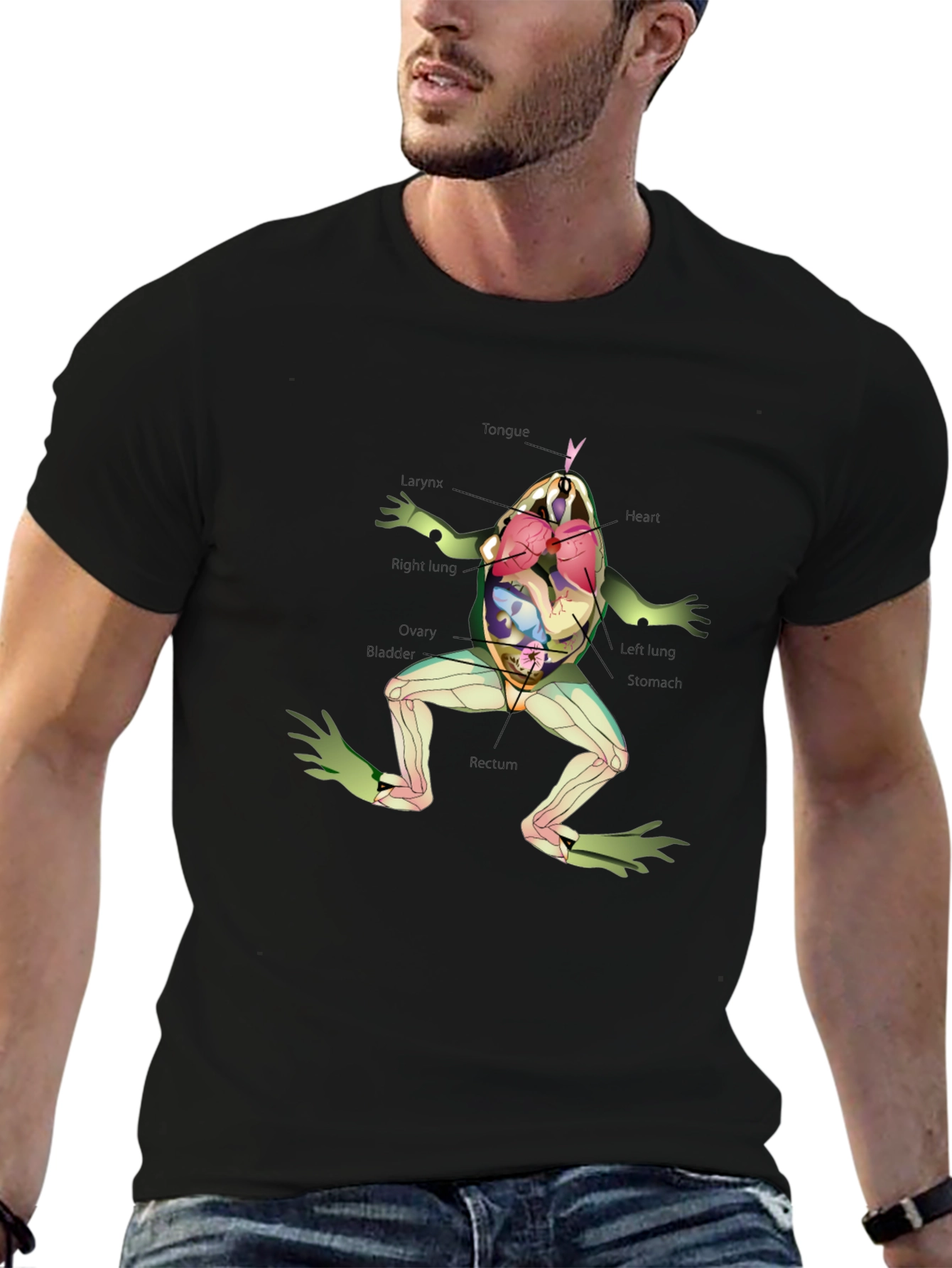 Anatomical Frog T-Shirt - Science & Biology