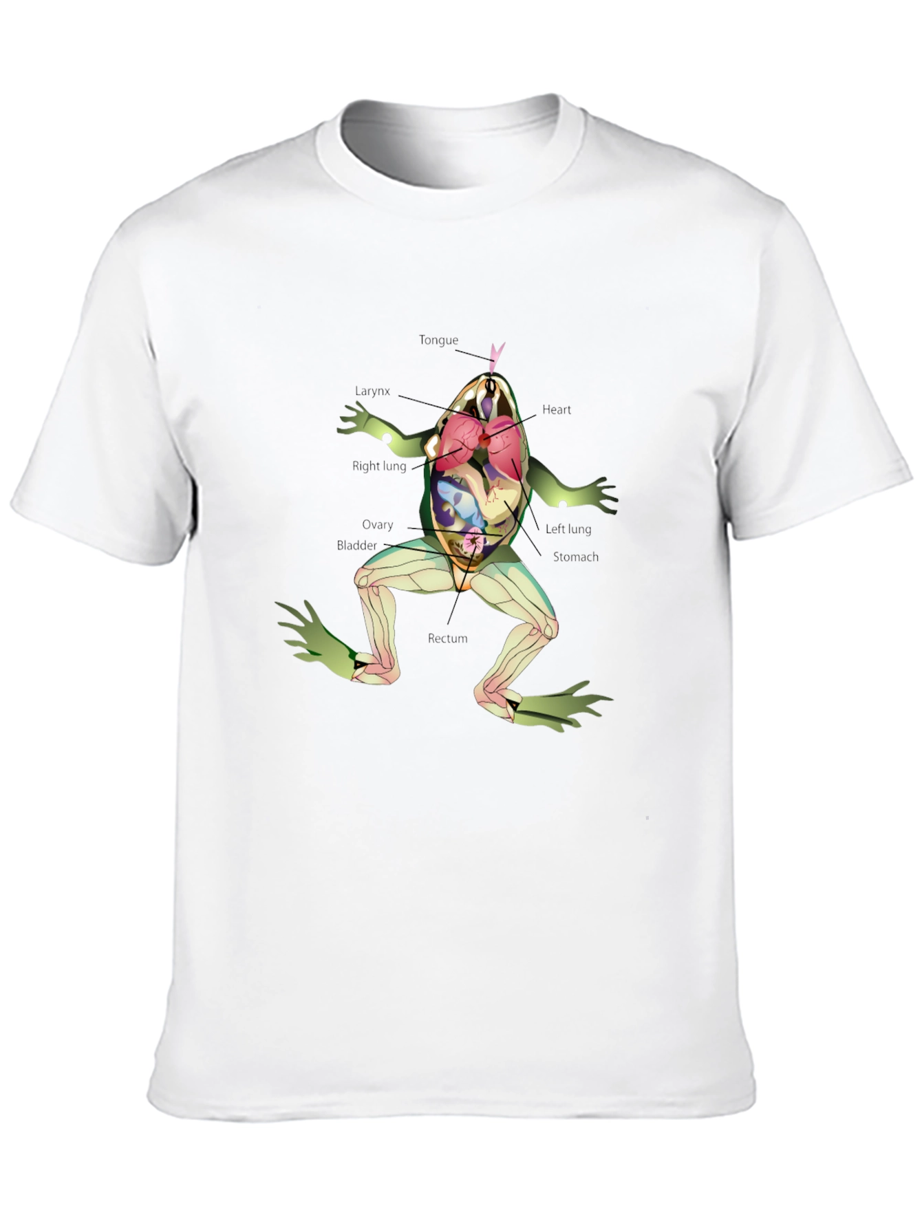 Anatomical Frog T-Shirt - Science & Biology