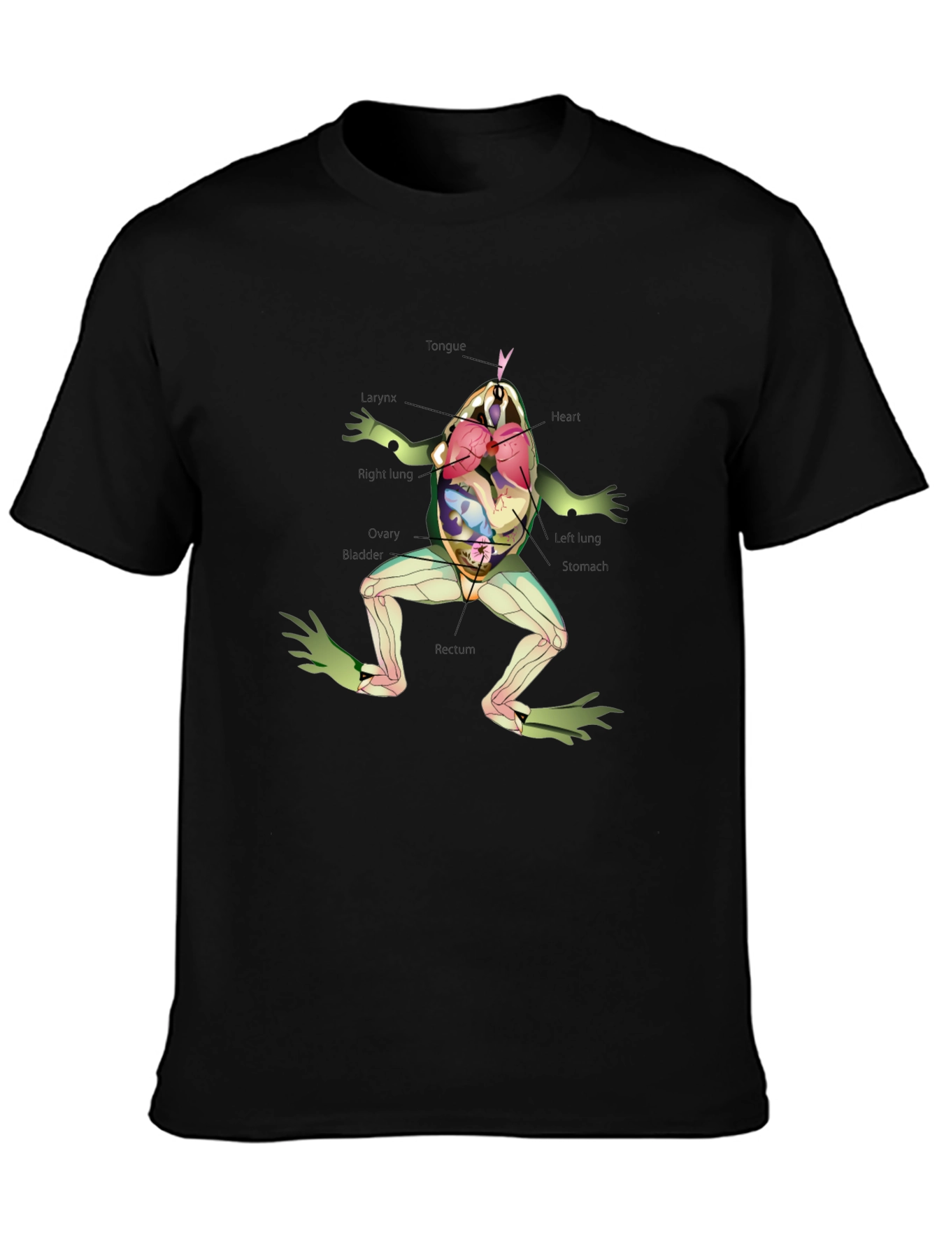 Anatomical Frog T-Shirt - Science & Biology