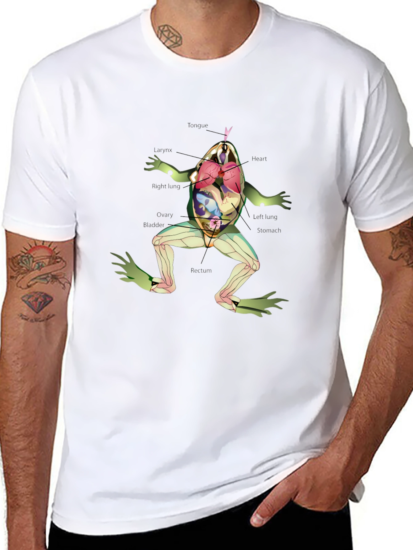Anatomical Frog T-Shirt - Science & Biology