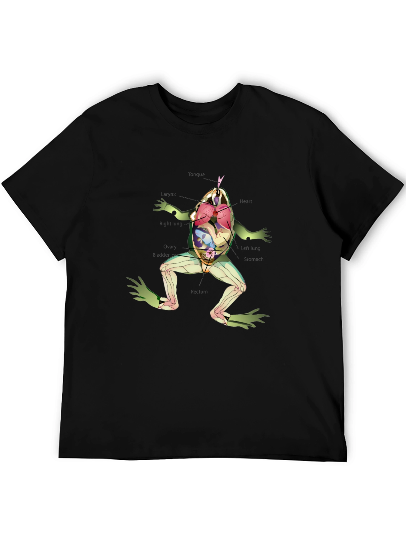 Anatomical Frog T-Shirt - Science & Biology