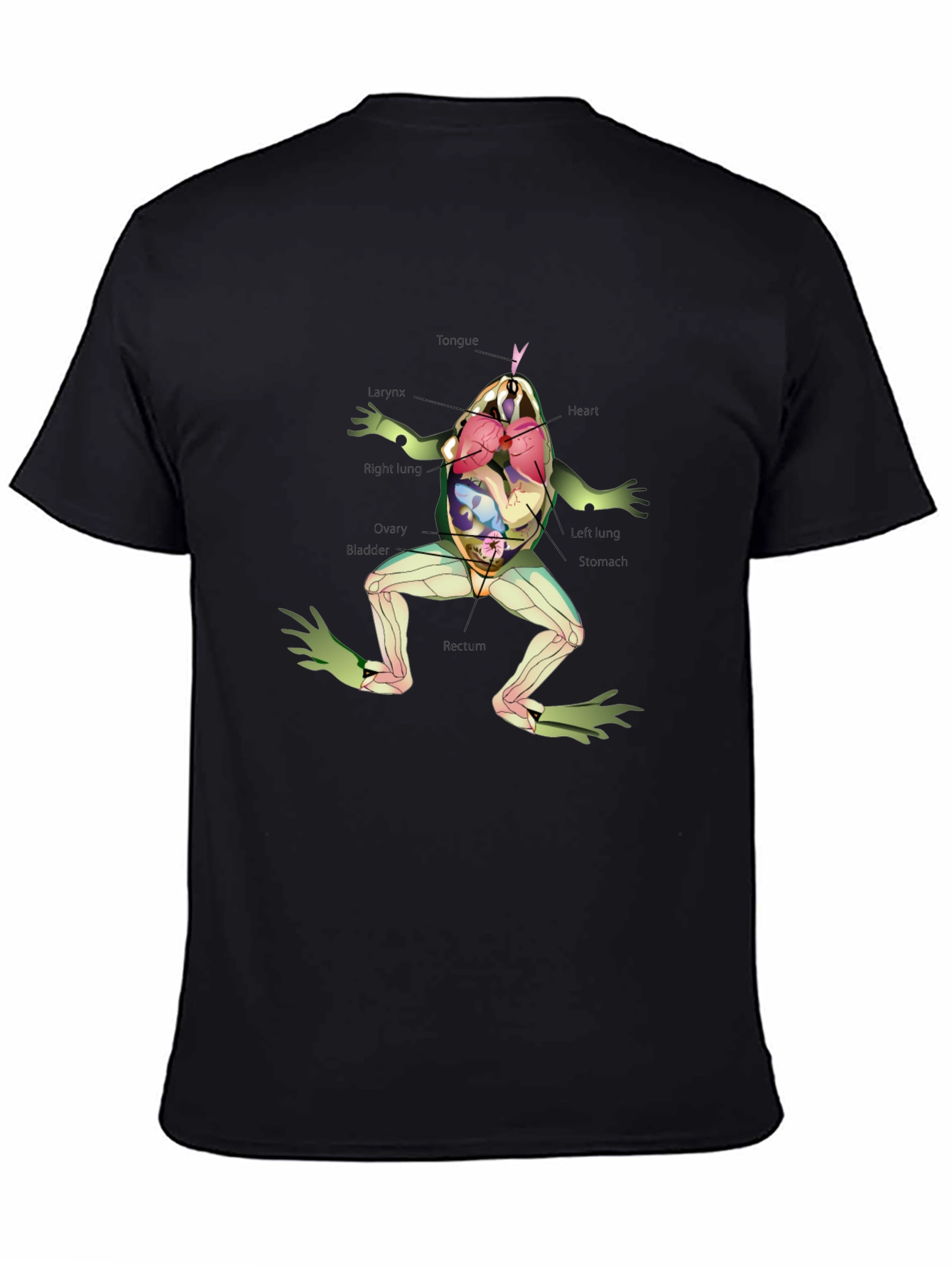 Anatomical Frog T-Shirt - Science & Biology