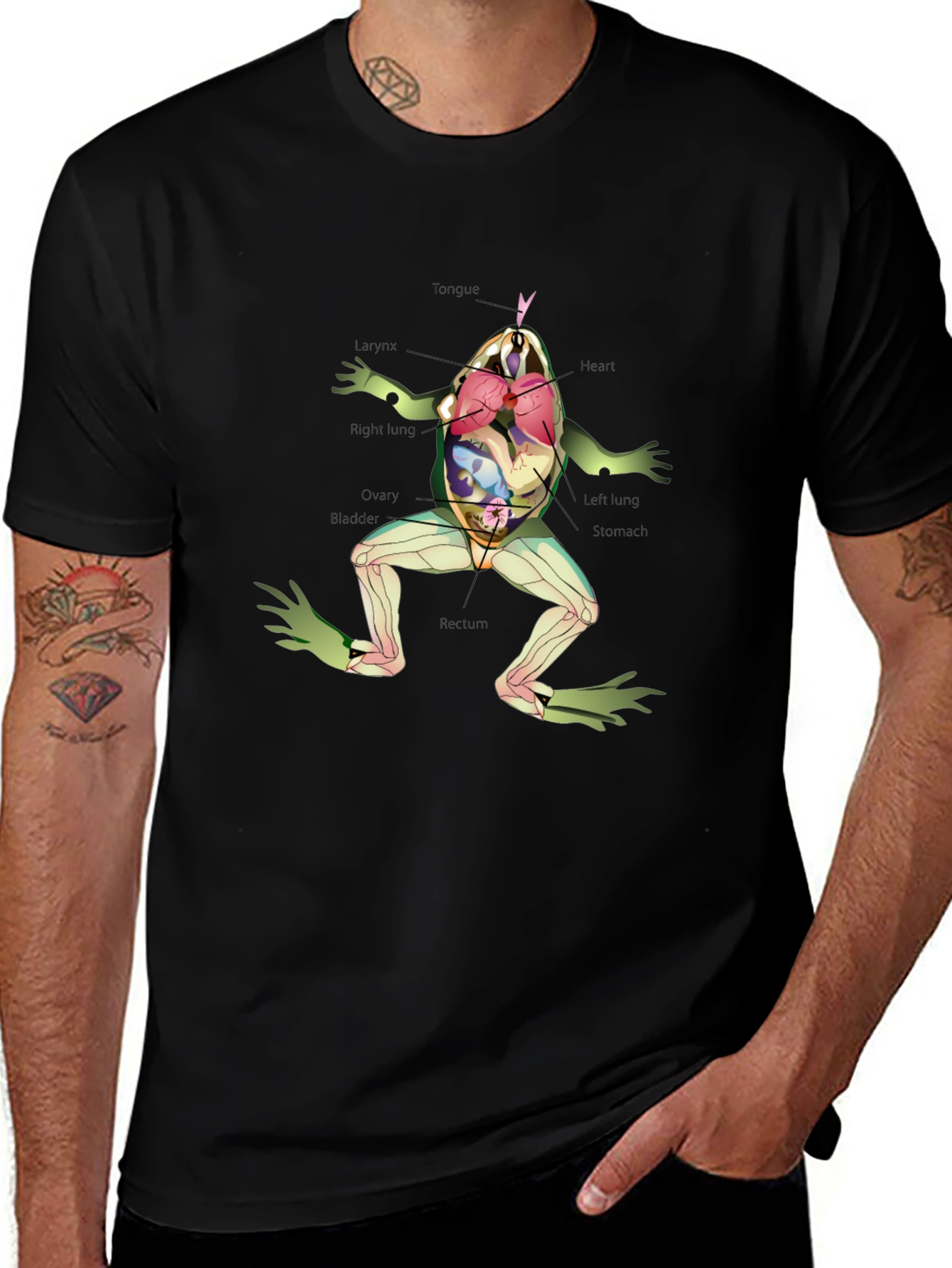 Anatomical Frog T-Shirt - Science & Biology