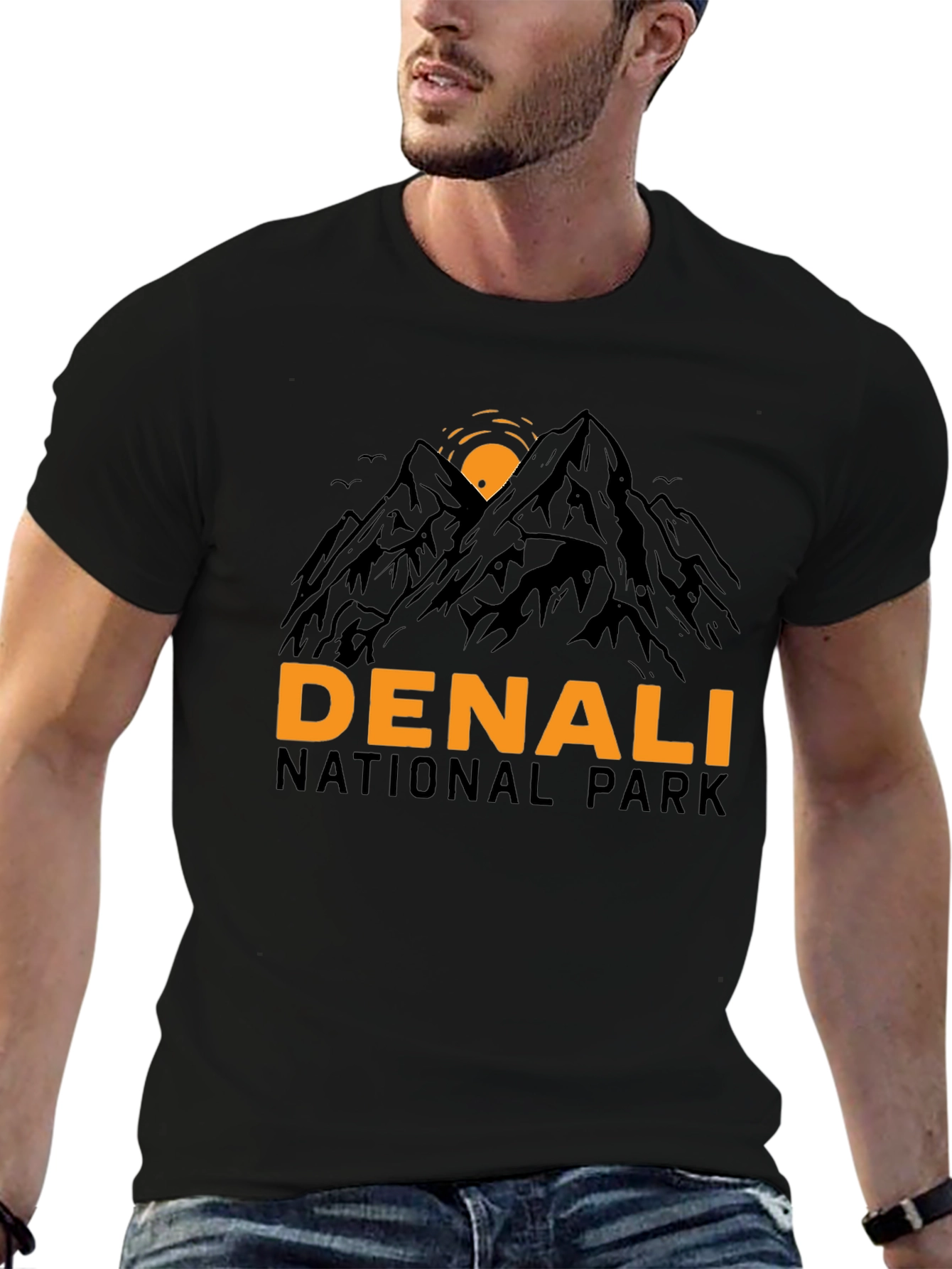 Denali National Park Graphic T-Shirt