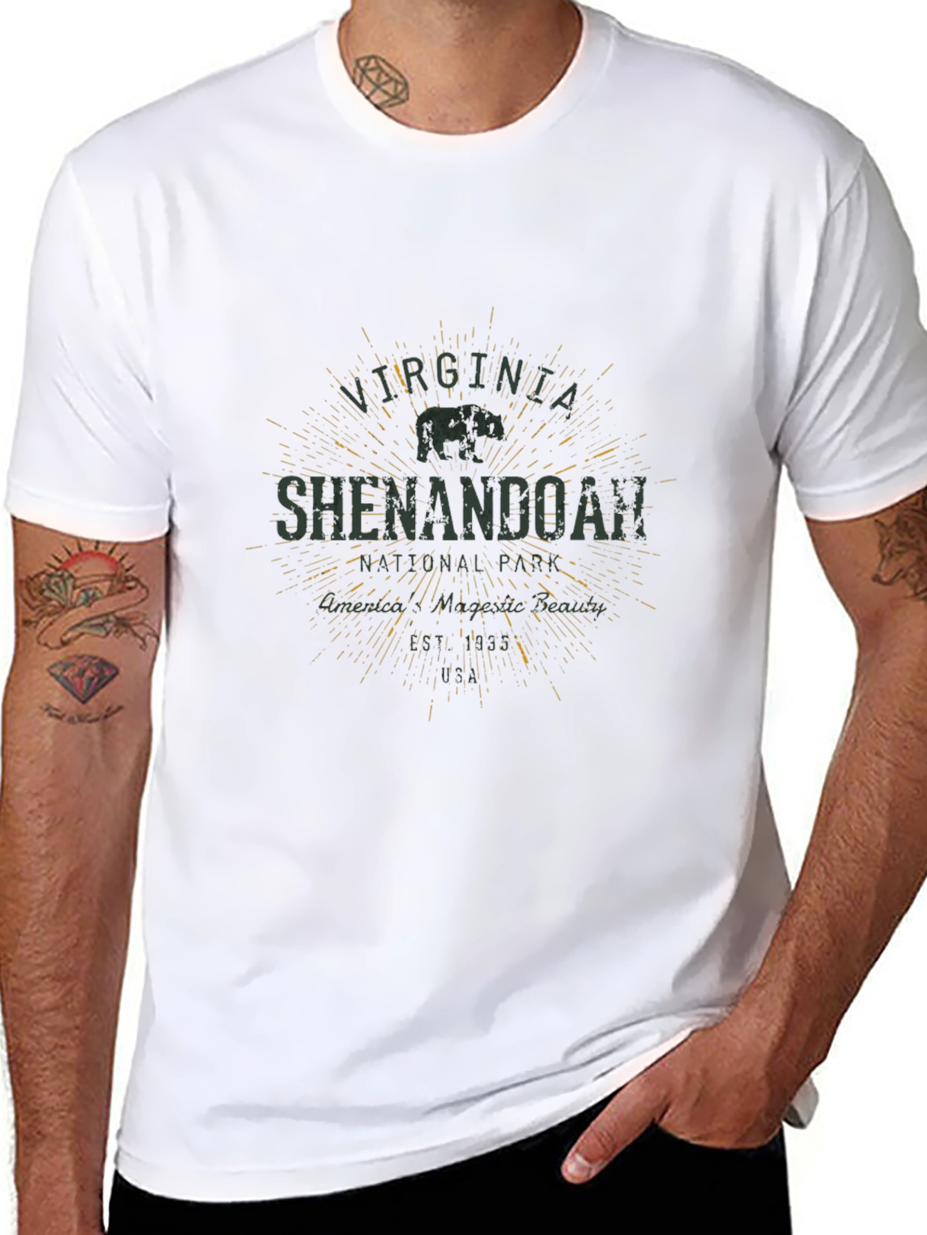 Shenandoah National Park Mens Black T-Shirt