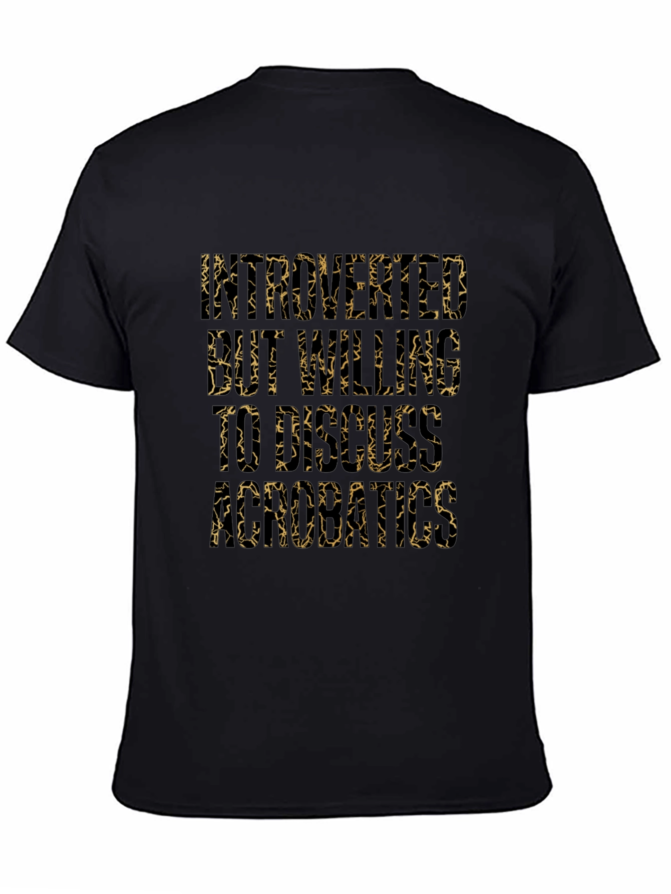 Introverted But Willing to Discuss Aerobatics T-Shirt