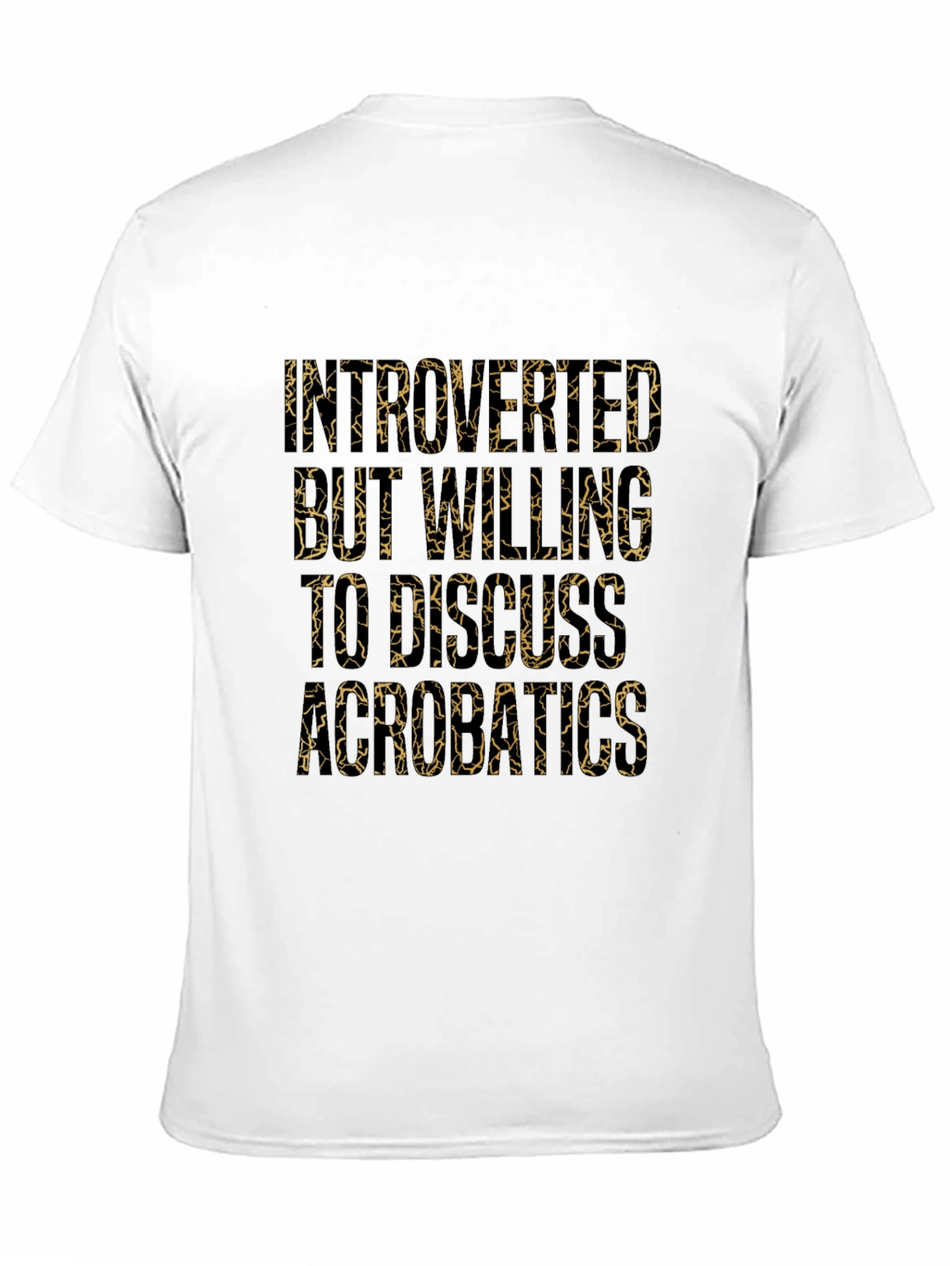 Introverted But Willing to Discuss Aerobatics T-Shirt