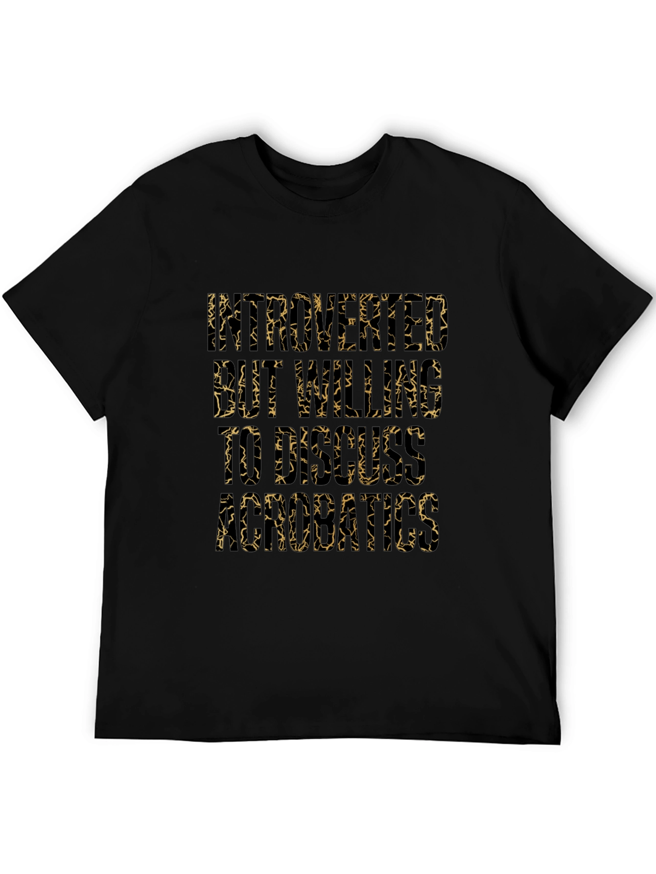Introverted But Willing to Discuss Aerobatics T-Shirt