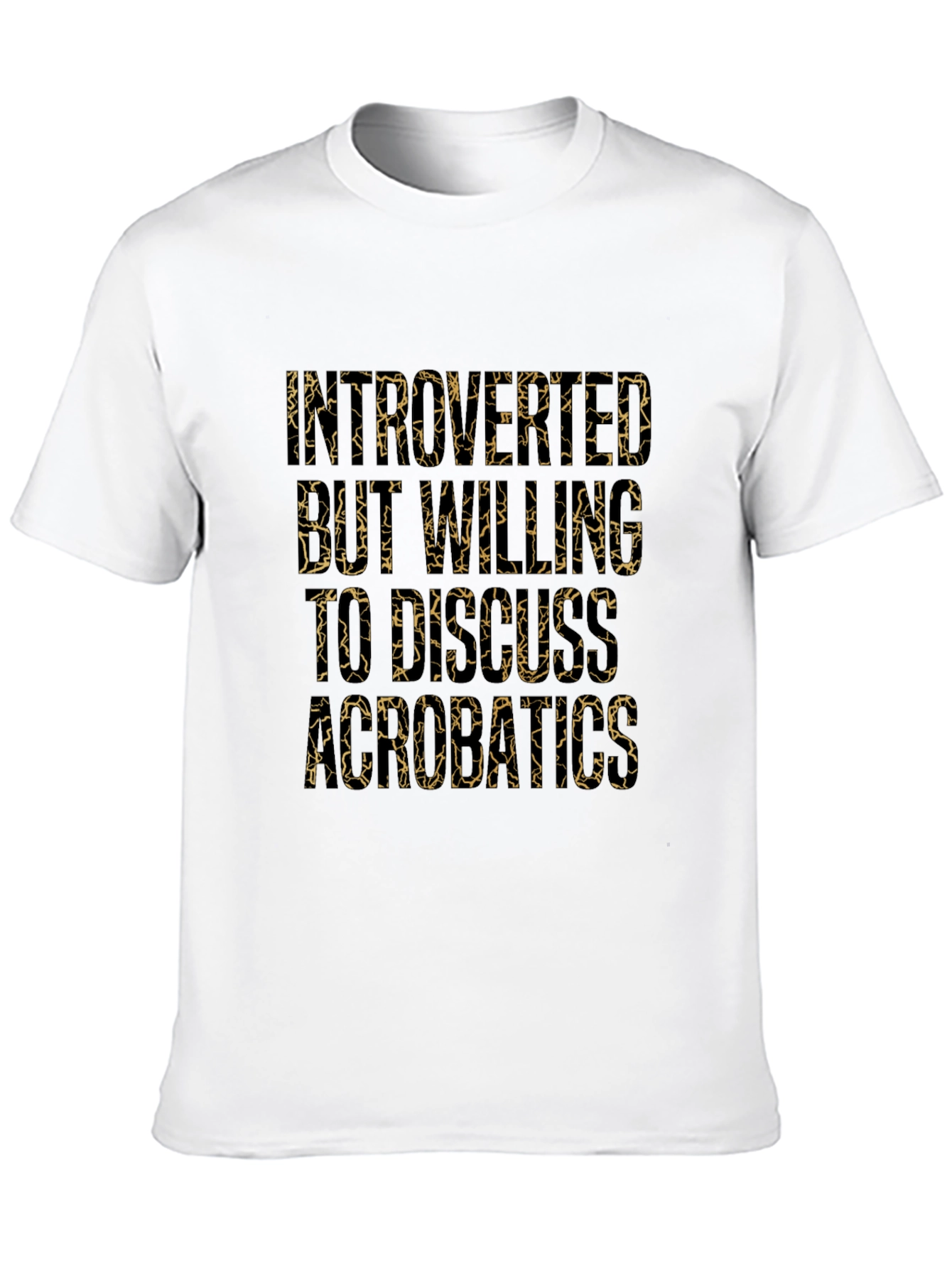 Introverted But Willing to Discuss Aerobatics T-Shirt