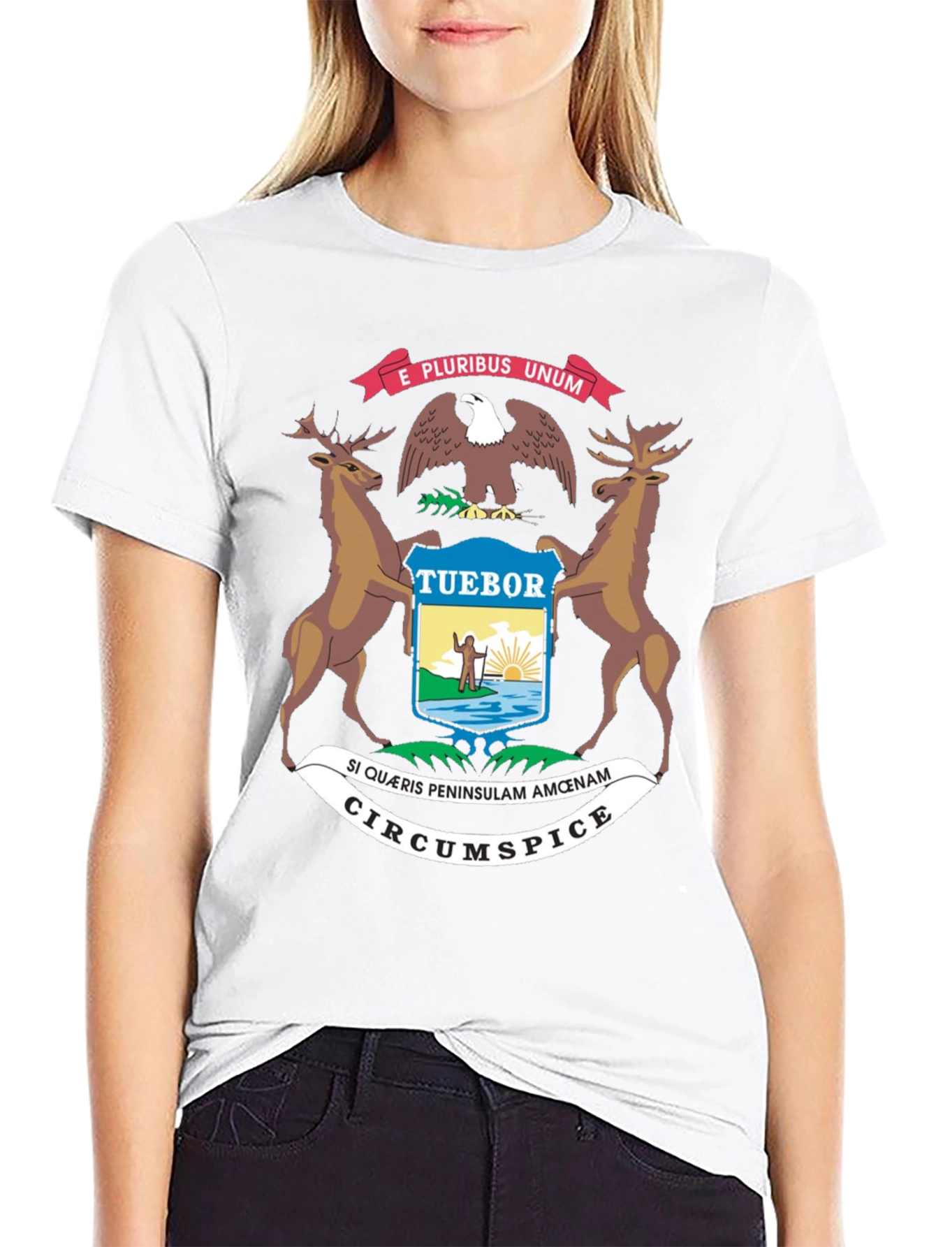 Michigan State Seal Graphic Tee - Black