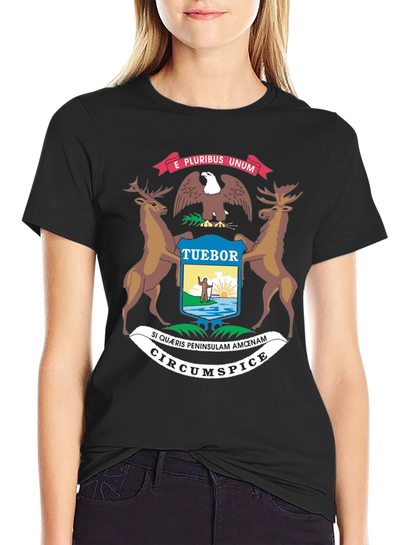 Michigan State Seal Graphic Tee - Black