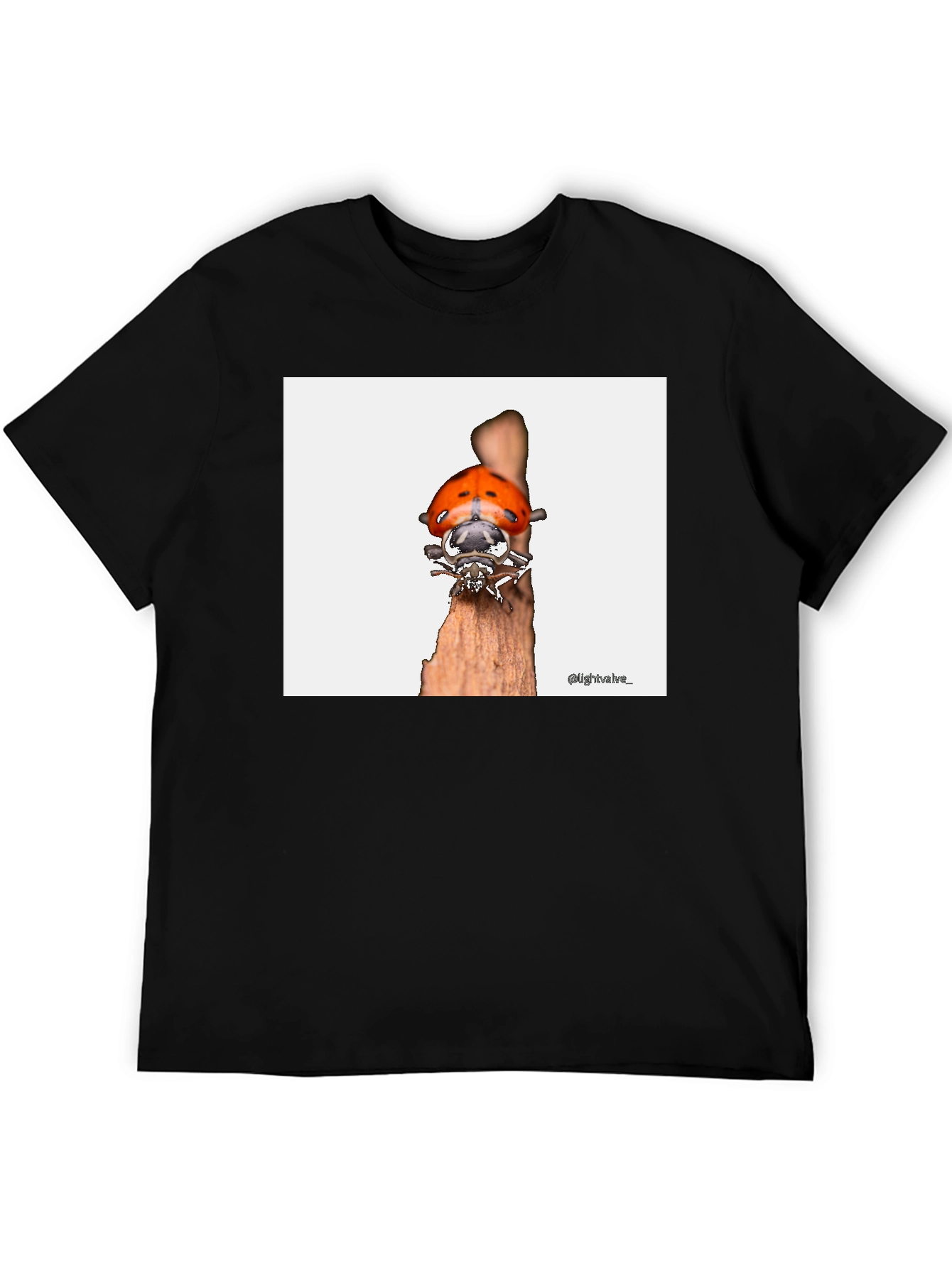 Ladybug T-Shirt - Bug on Wood
