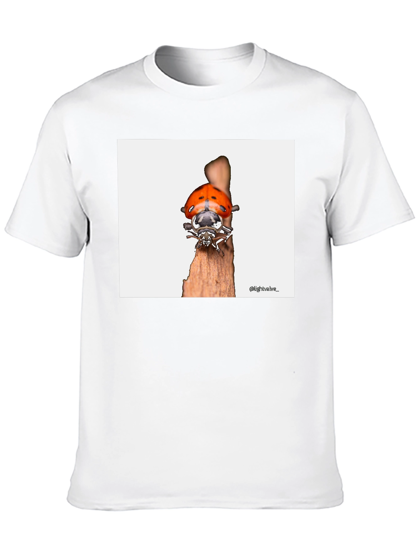 Ladybug T-Shirt - Bug on Wood
