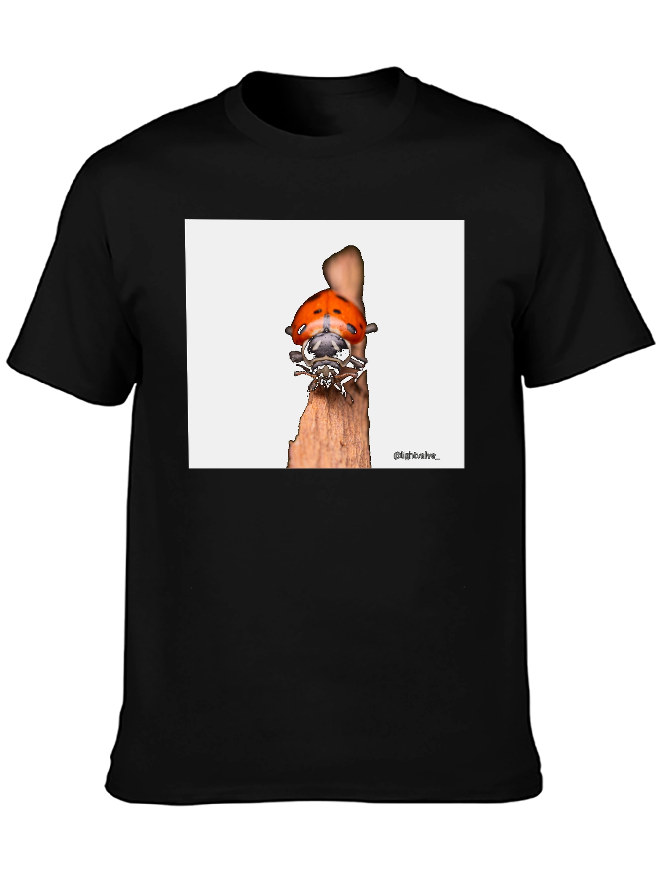 Ladybug T-Shirt - Bug on Wood