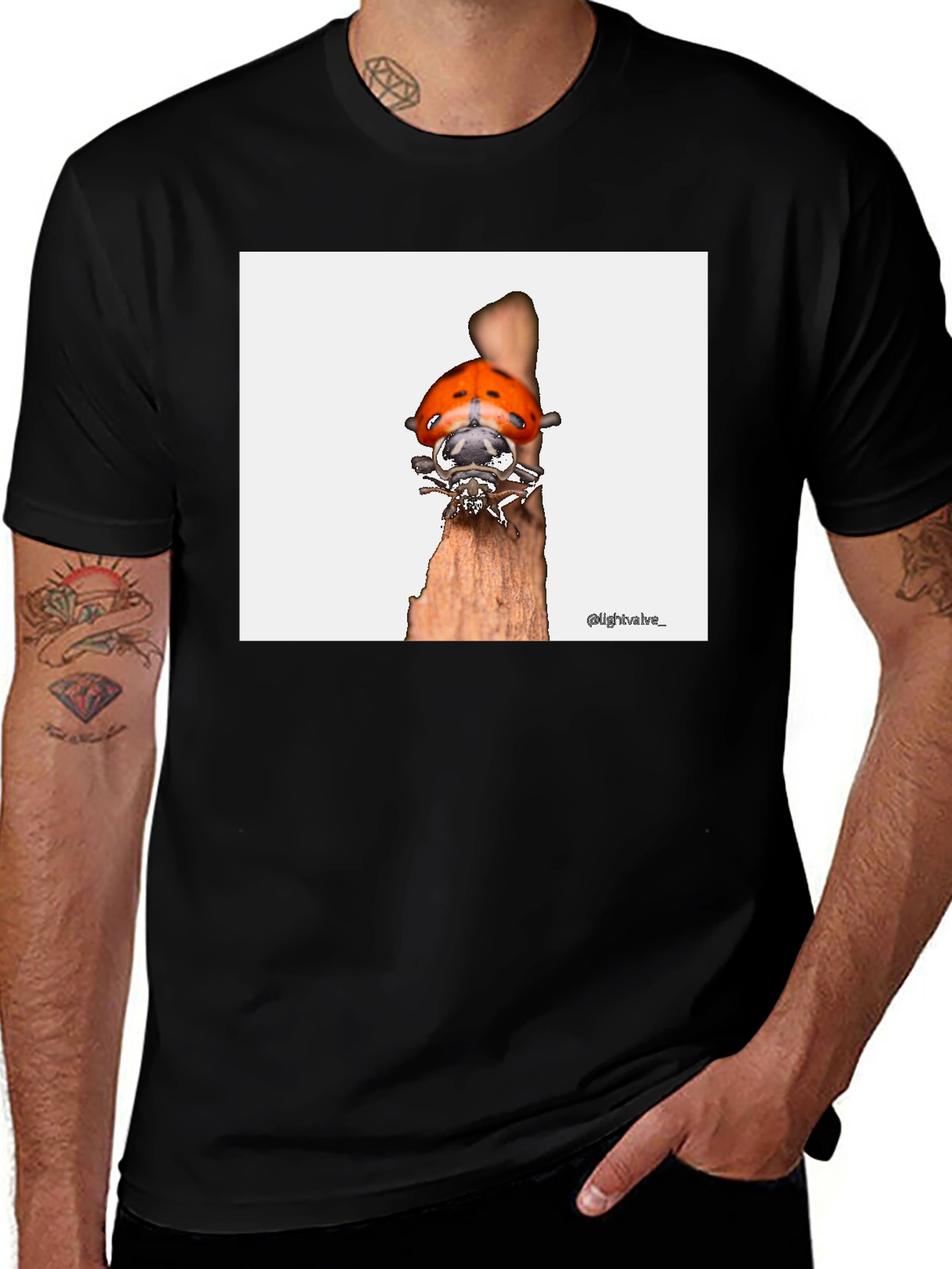 Ladybug T-Shirt - Bug on Wood