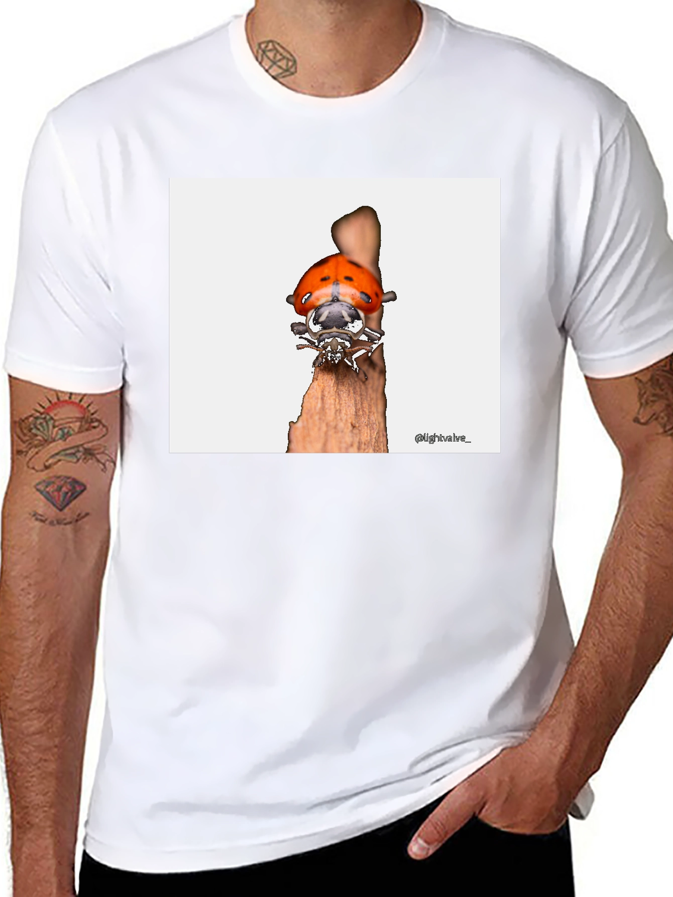Ladybug T-Shirt - Bug on Wood