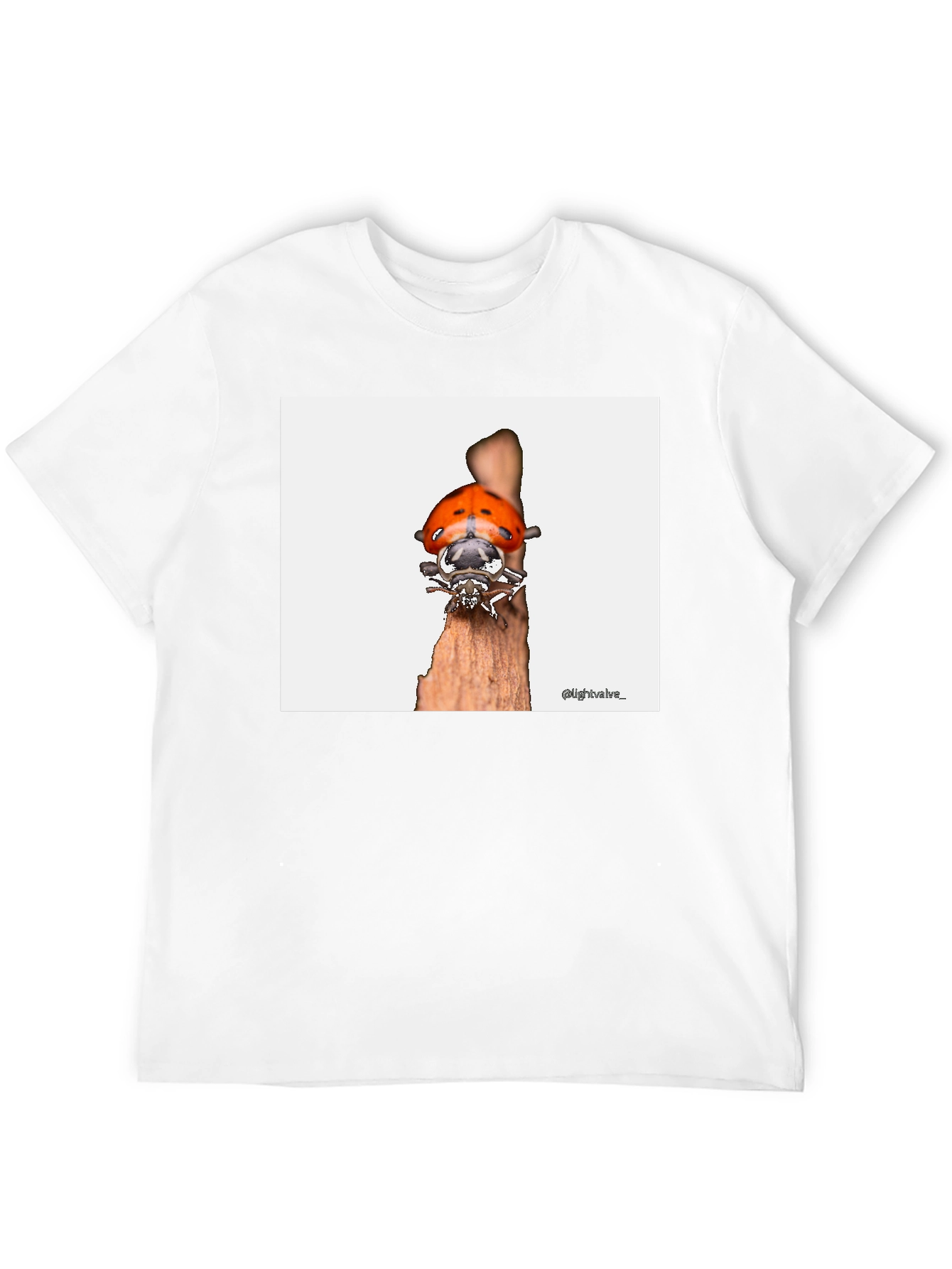 Ladybug T-Shirt - Bug on Wood