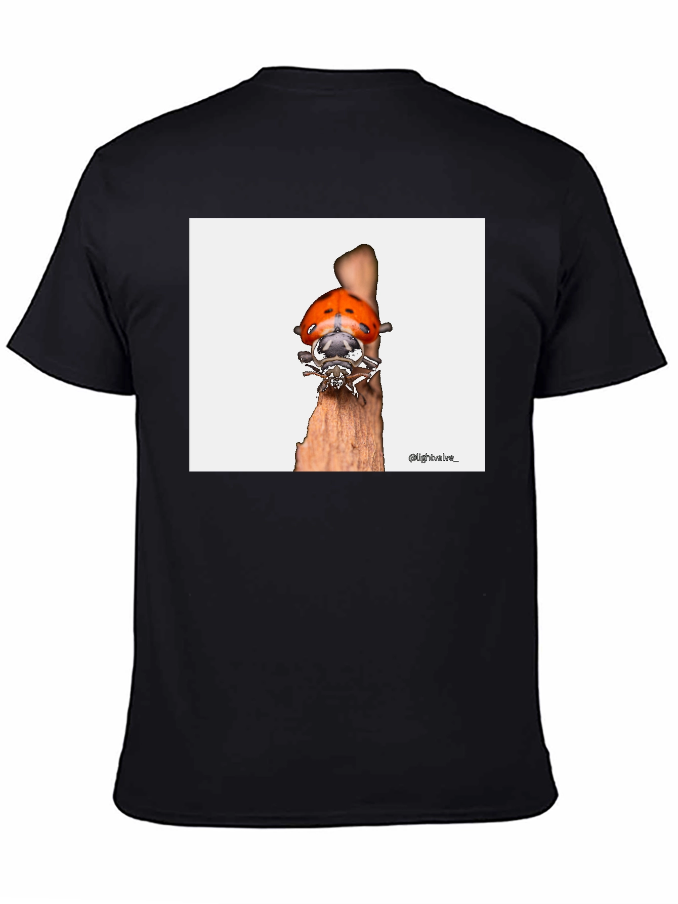 Ladybug T-Shirt - Bug on Wood