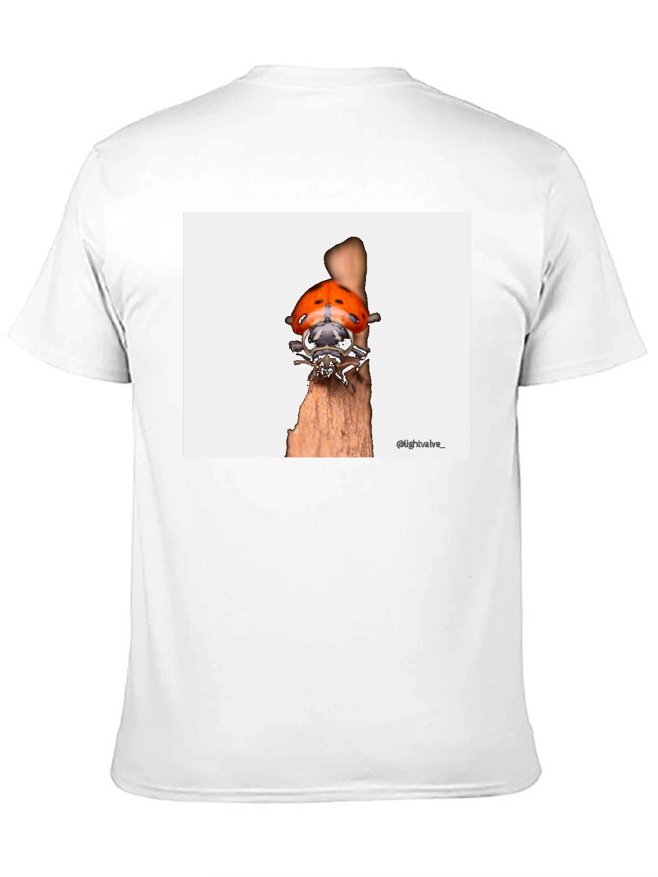Ladybug T-Shirt - Bug on Wood