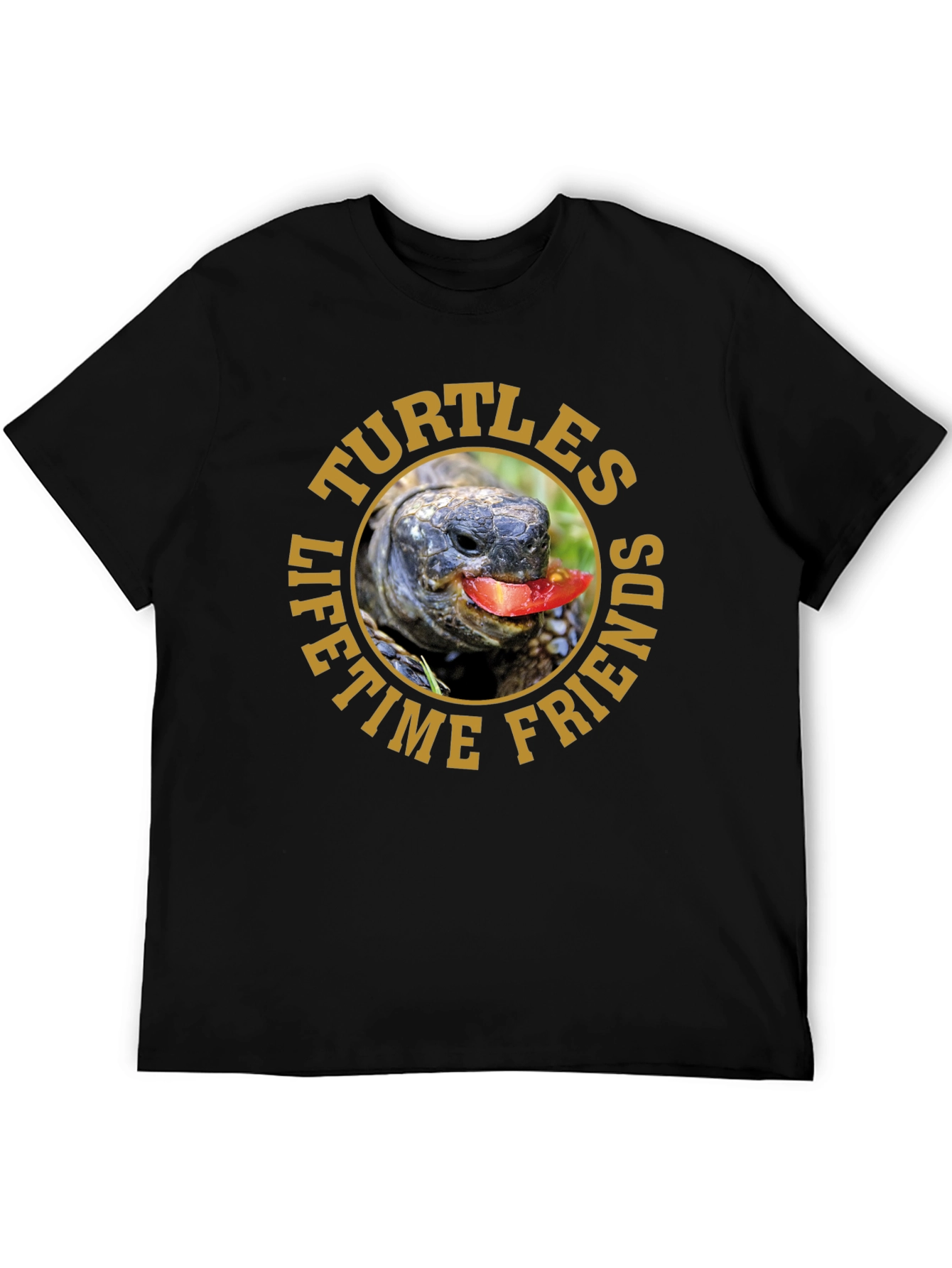 Turtles Lifetime Friends Graphic T-Shirt