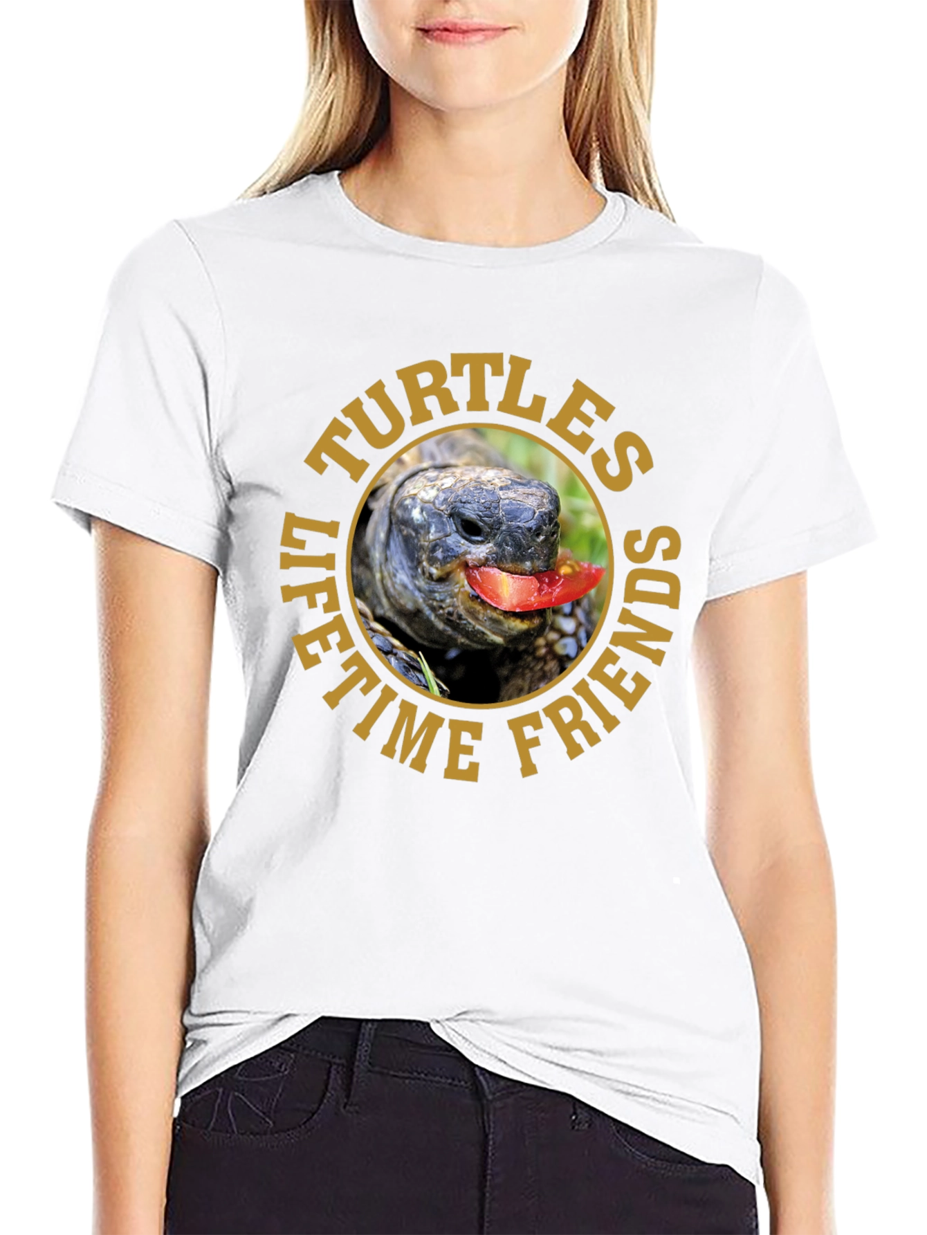 Turtles Lifetime Friends Graphic T-Shirt