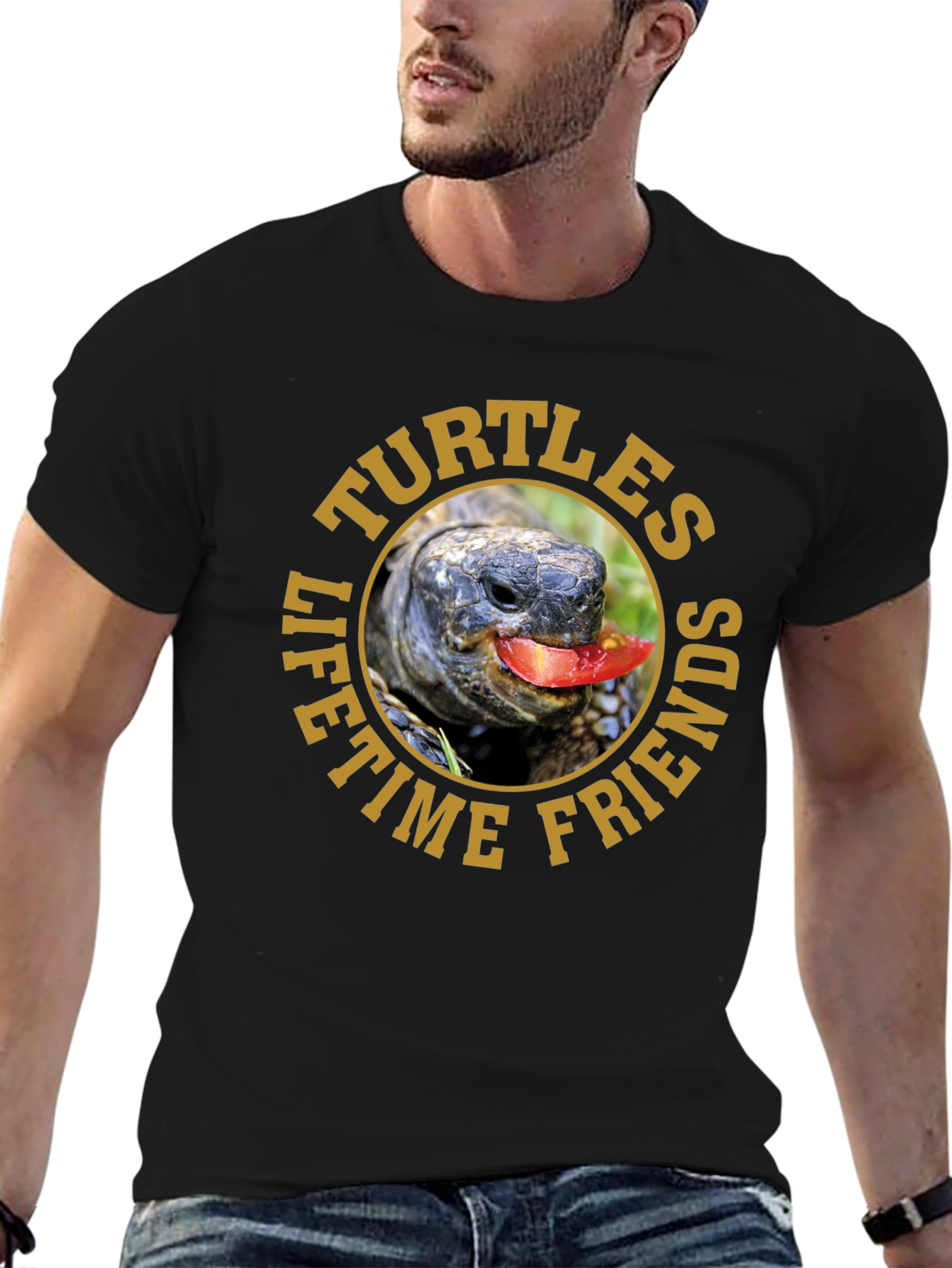 Turtles Lifetime Friends Graphic T-Shirt