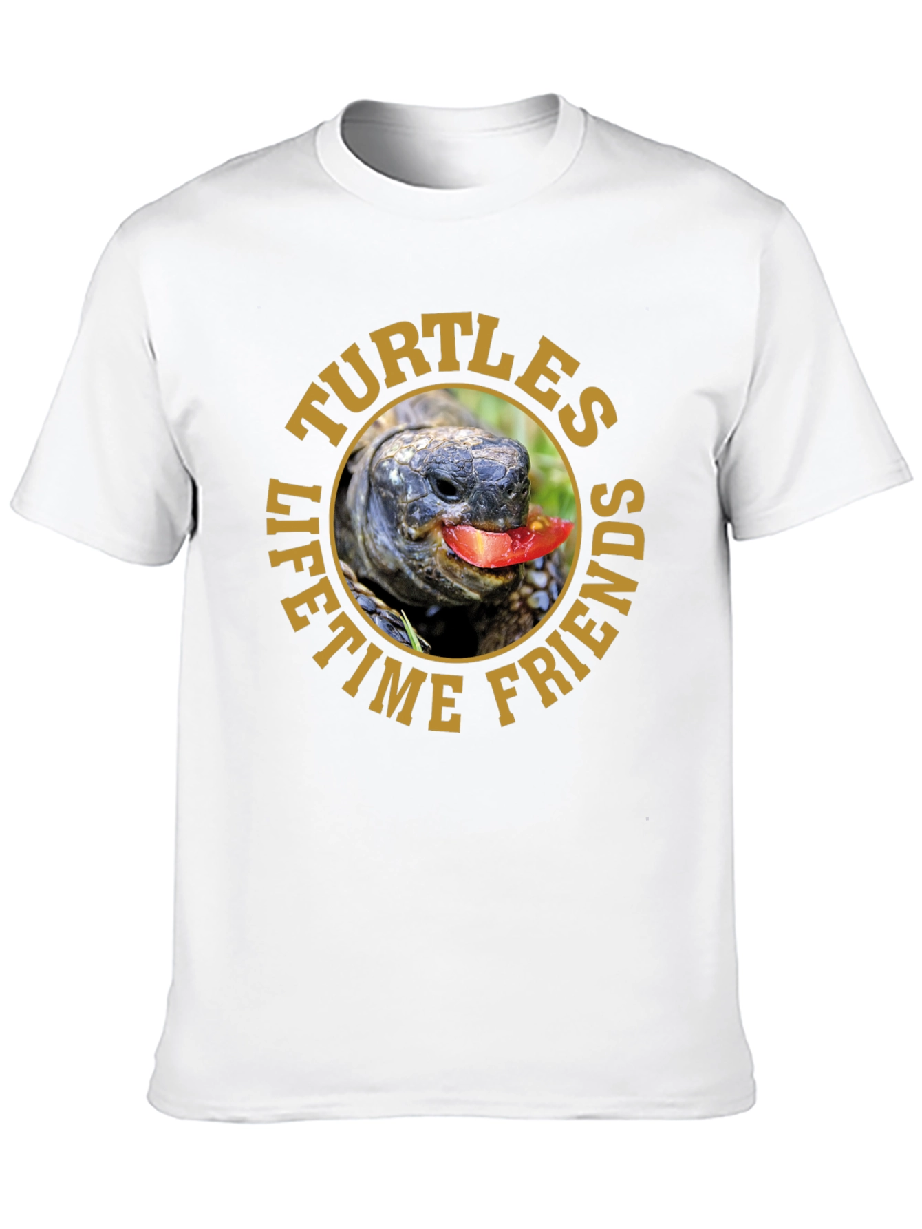 Turtles Lifetime Friends Graphic T-Shirt