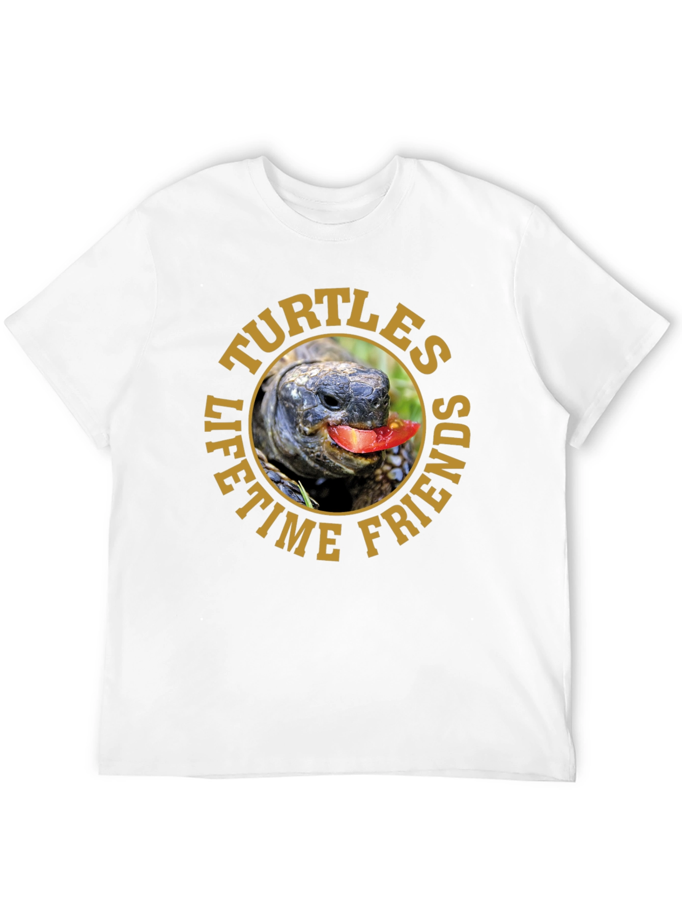 Turtles Lifetime Friends Graphic T-Shirt